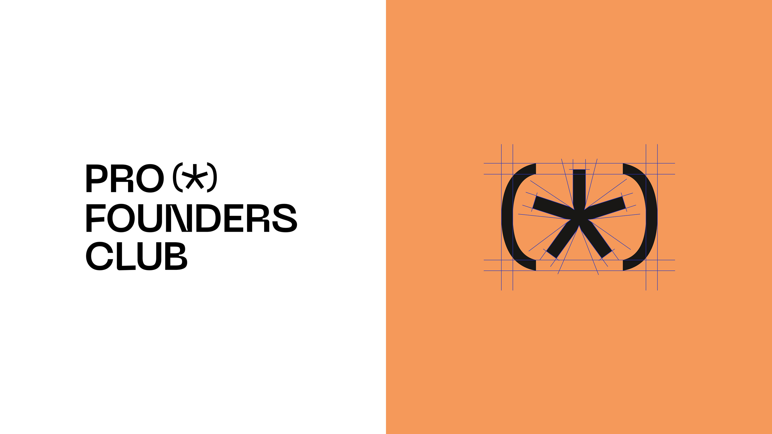 PROFOUNDERS / Brand identity — Изображение №5 — Брендинг на Dprofile