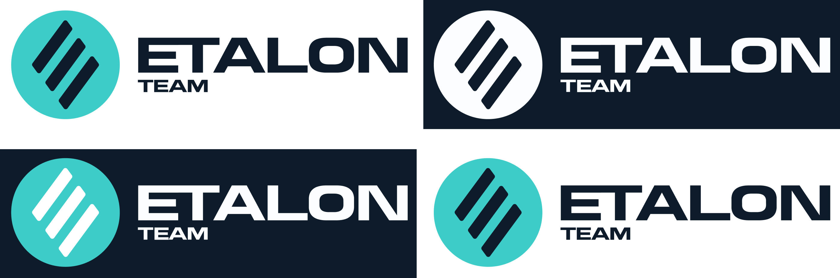 Etalon Team Identity / Айдентика Etalon Team — Изображение №8 — Брендинг на Dprofile
