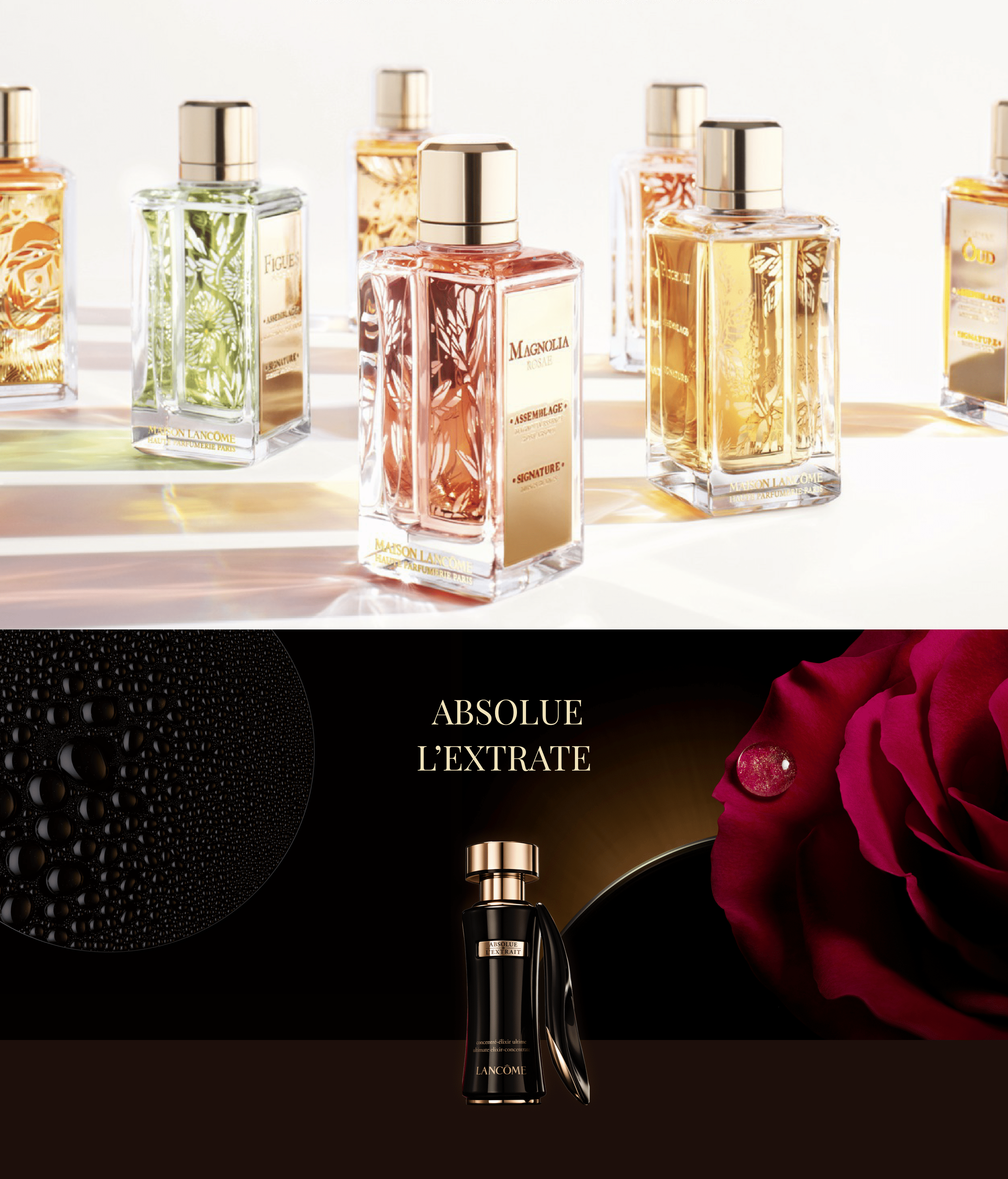 Lancome Premium web site — Изображение №5 — Интерфейсы, Маркетинг на Dprofile