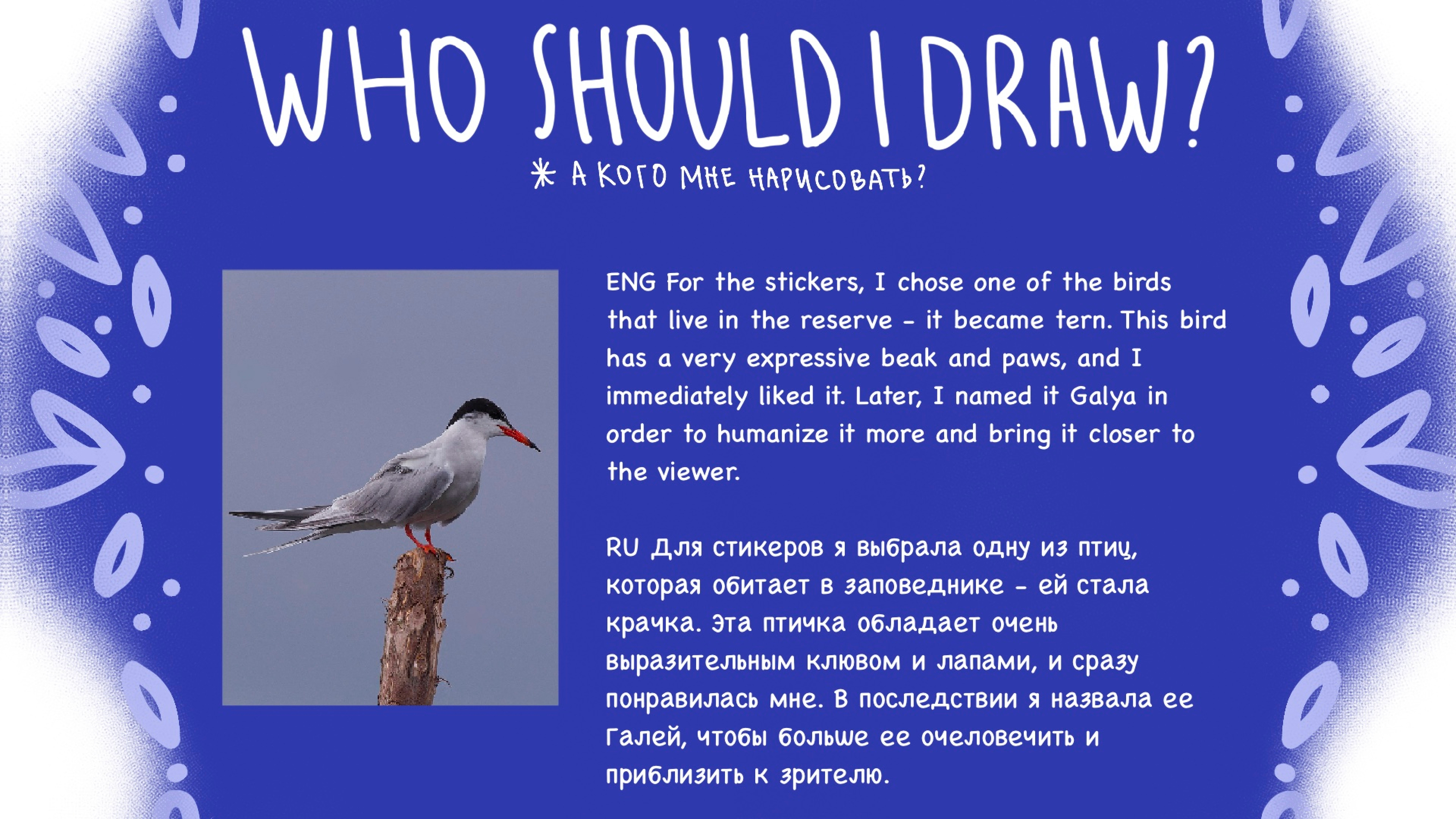 GALYA THE TERN — Изображение №9 — Брендинг, Иллюстрация на Dprofile