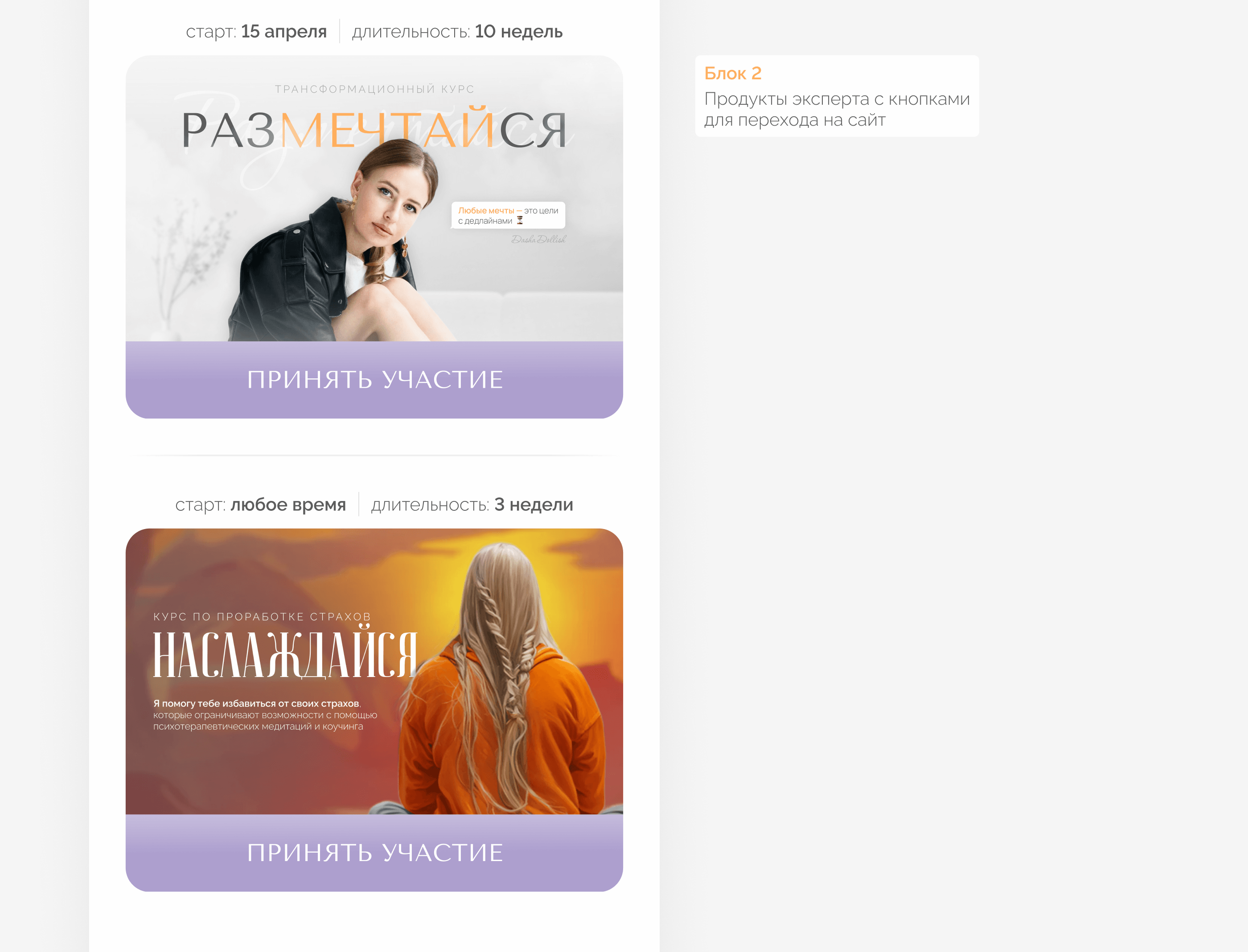 Комплексная упаковка эксперта | Дизайн инфопродукта — Изображение №5 — Маркетинг на Dprofile