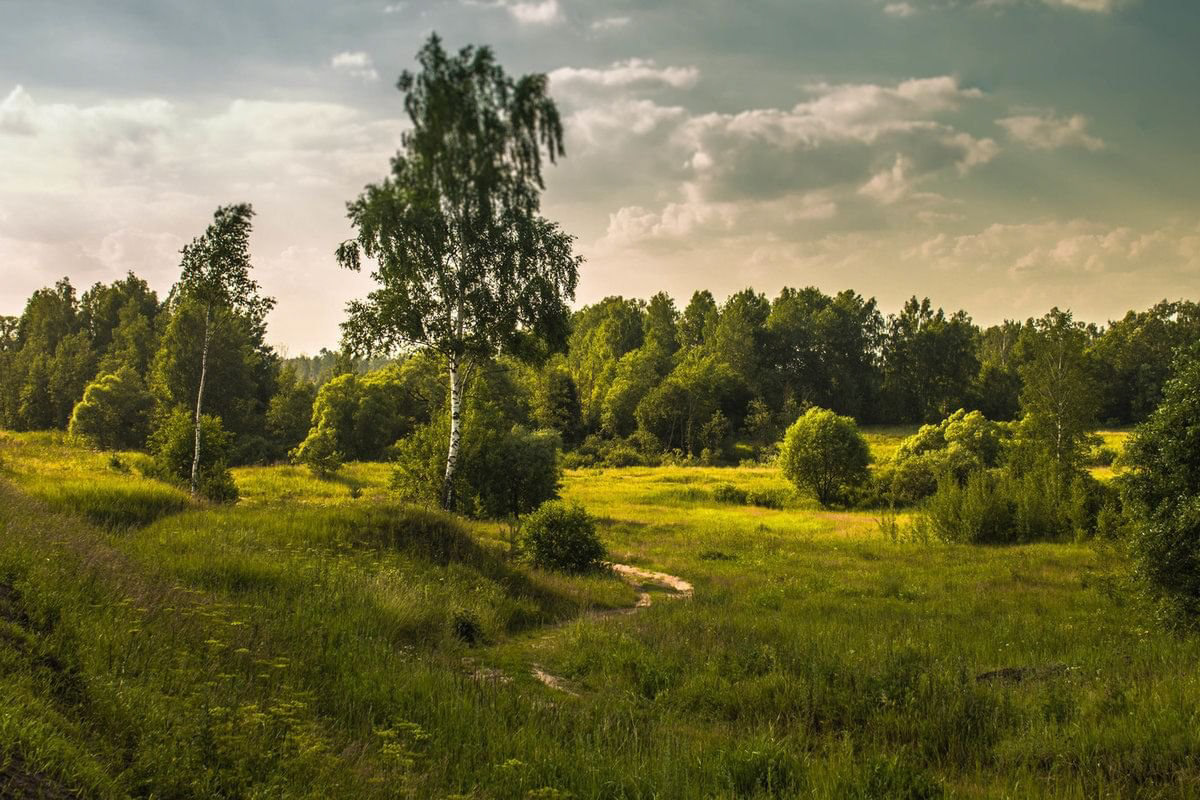 Элементы фирменного стиля, буклет, этикетки — Изображение №11 — Брендинг, Графика на Dprofile