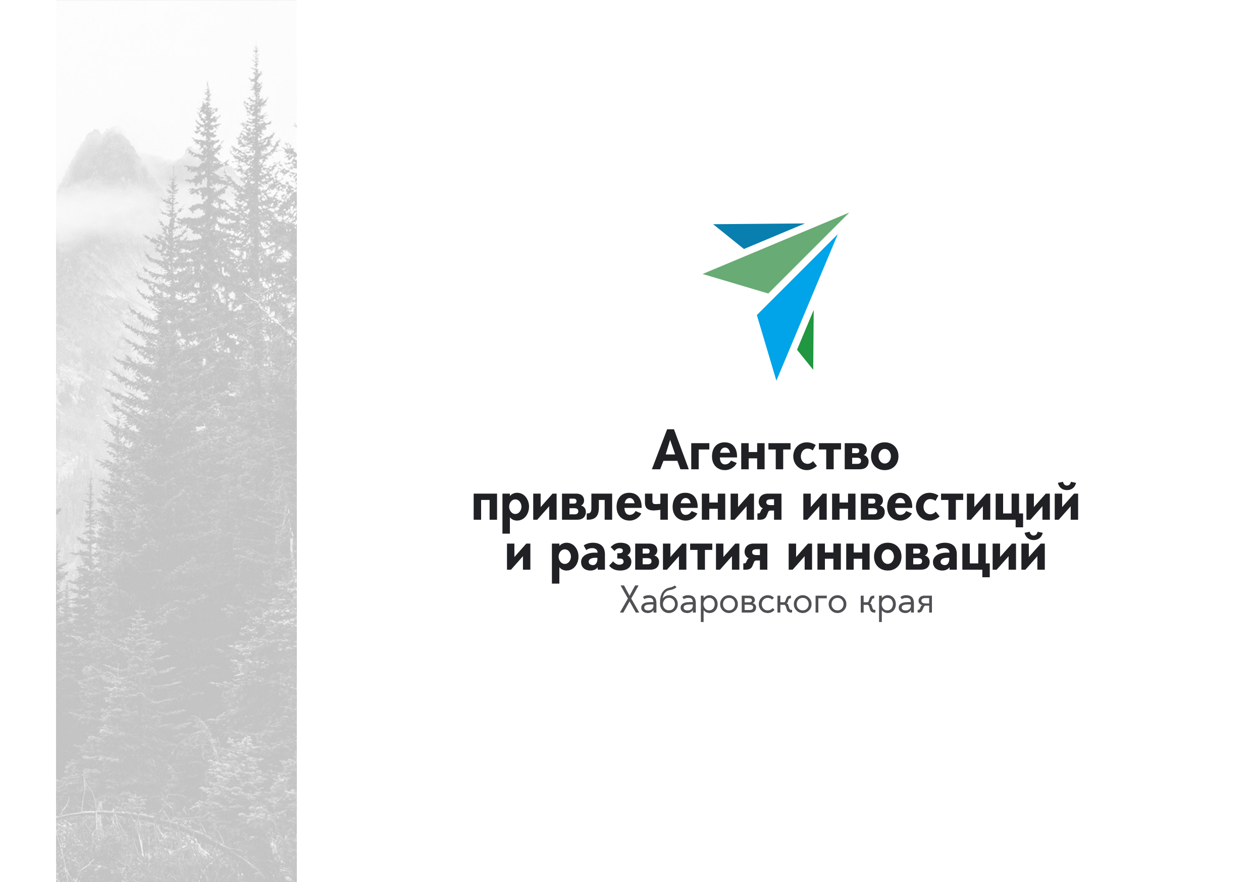 АПИРИ ХК — Изображение №8 — Брендинг на Dprofile