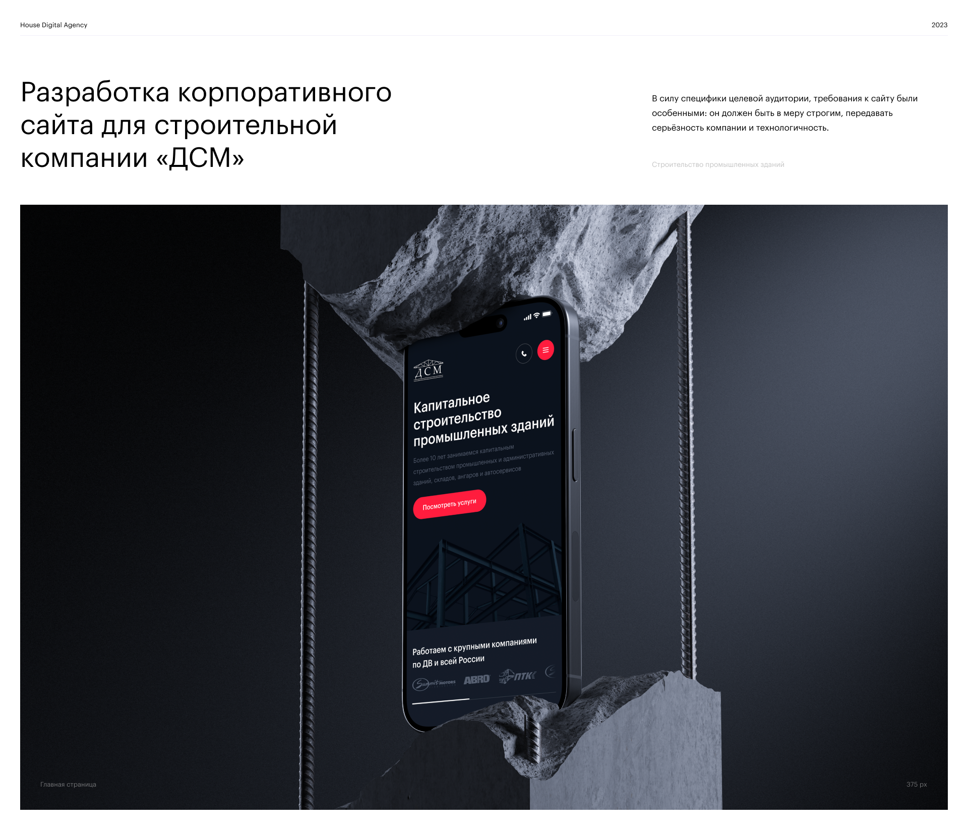 ДСМ | Корпоративный сайт — Изображение №1 — Интерфейсы, Графика на Dprofile