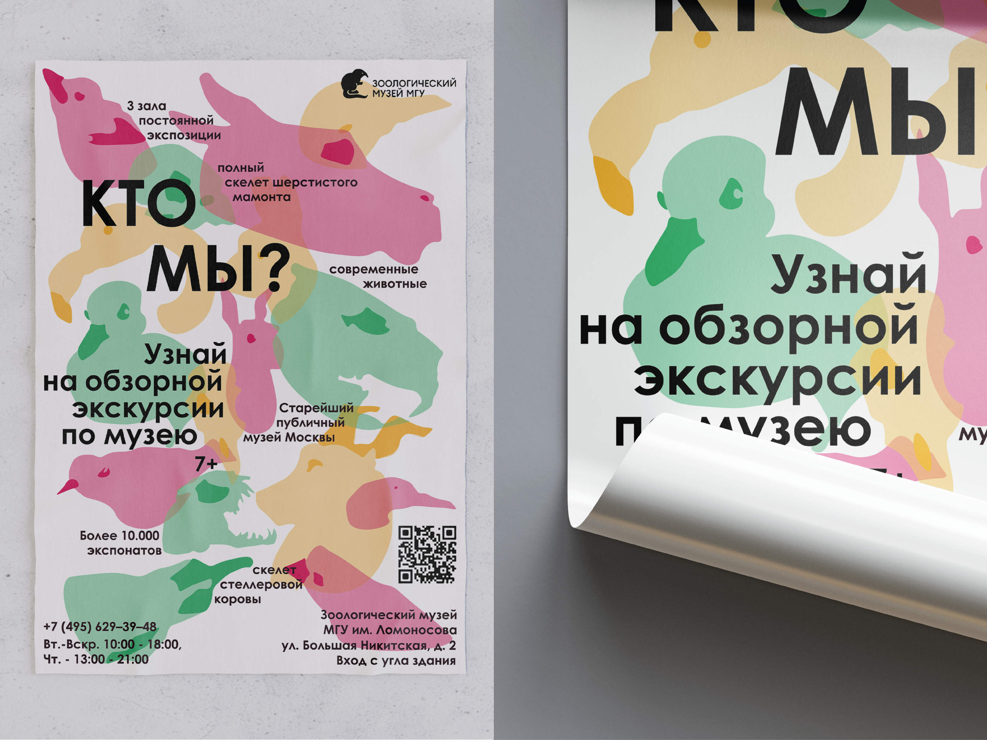 Концепт плакатов и баннеров для Зоологического музея — Изображение №7 — Иллюстрация, Маркетинг на Dprofile