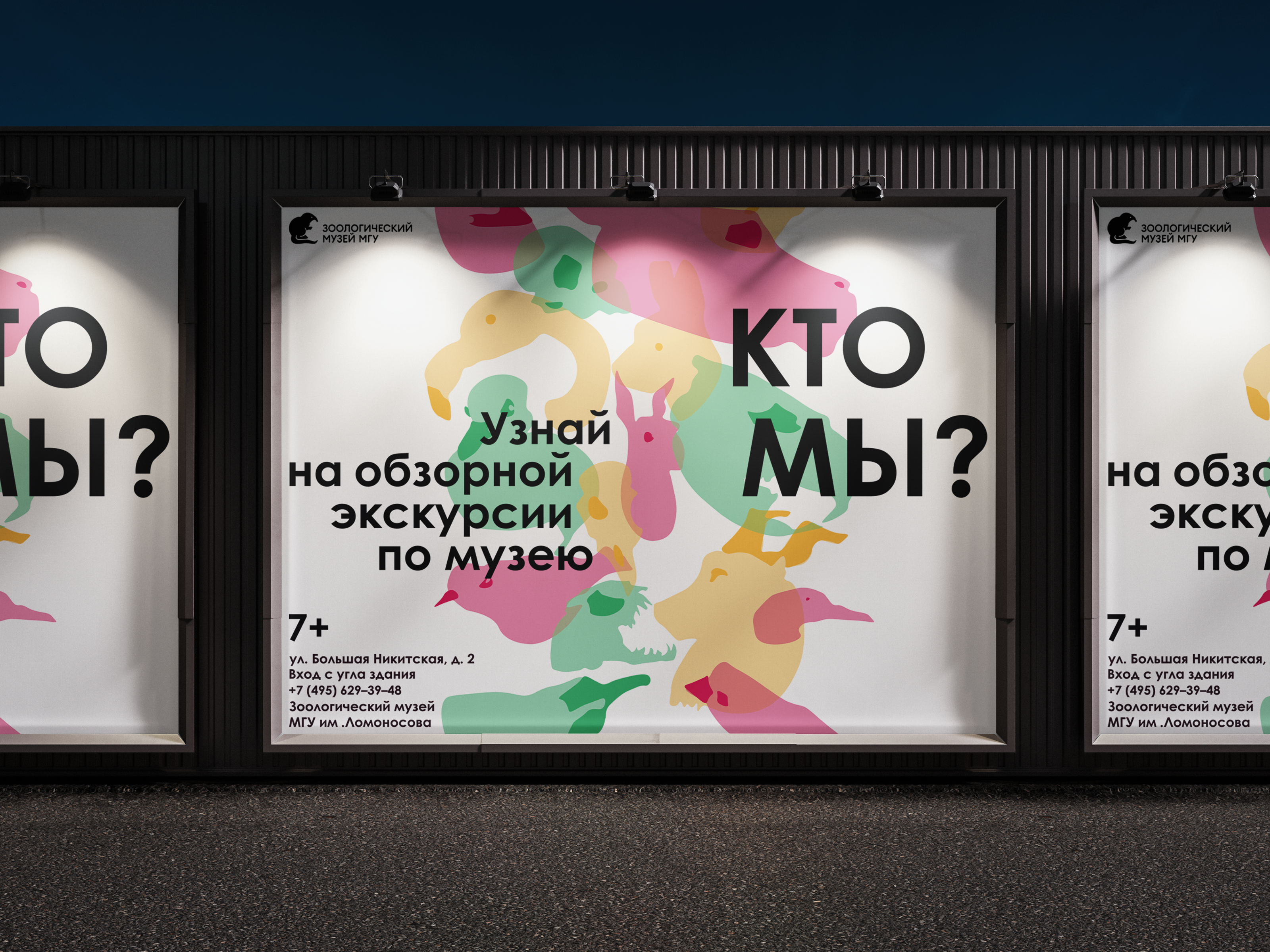 Концепт плакатов и баннеров для Зоологического музея — Изображение №9 — Иллюстрация, Маркетинг на Dprofile