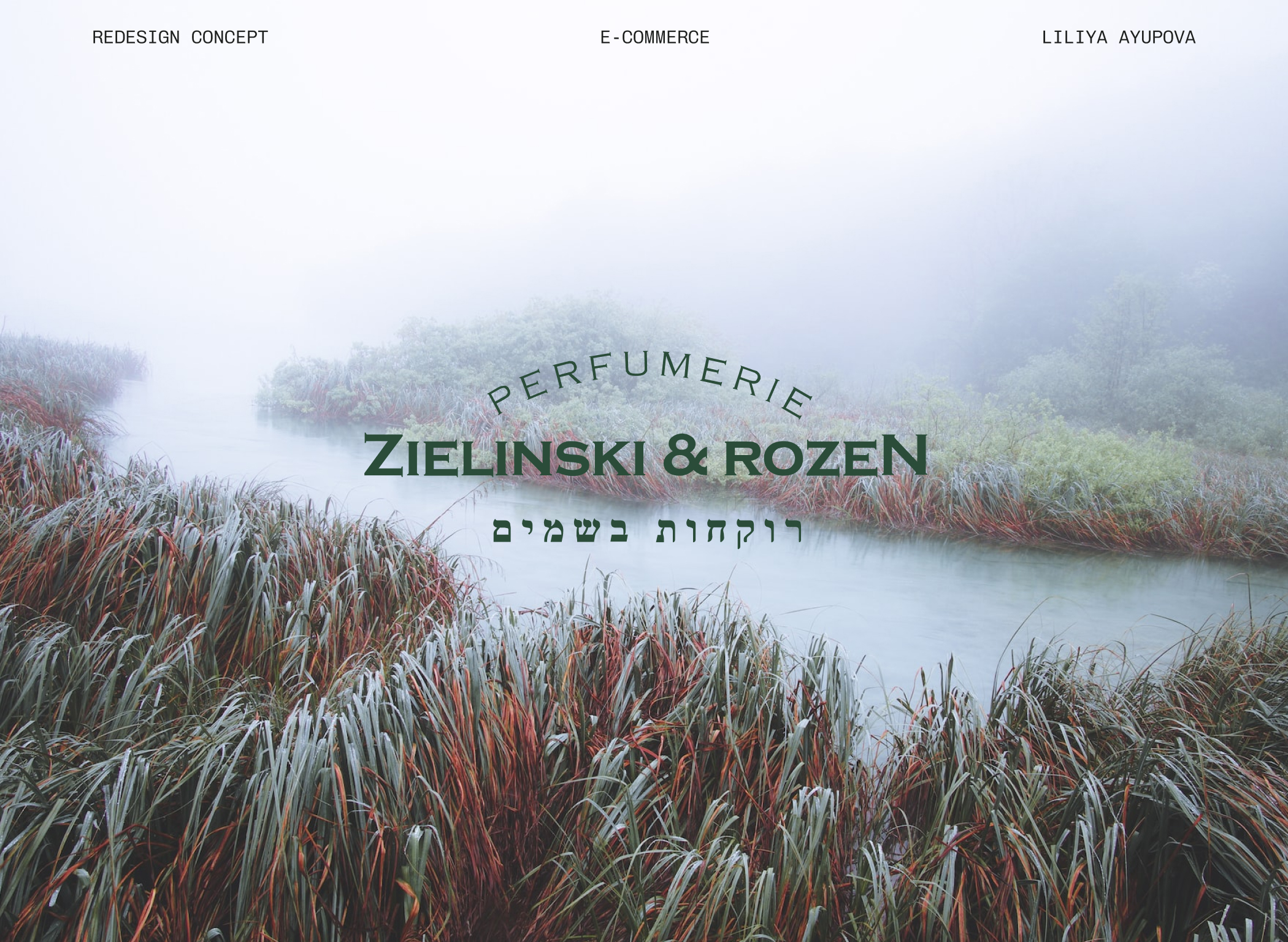 Zielinski & Rozen | redesign e-commerce — Изображение №1 — Интерфейсы на Dprofile