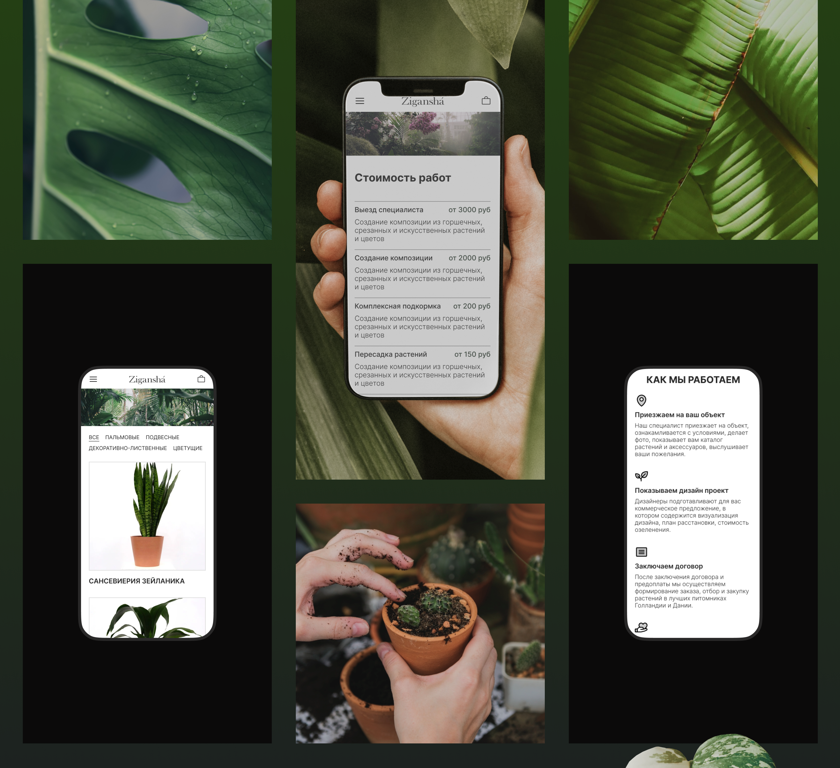 Zigansha Plants | Redesign website — Изображение №11 — Интерфейсы на Dprofile