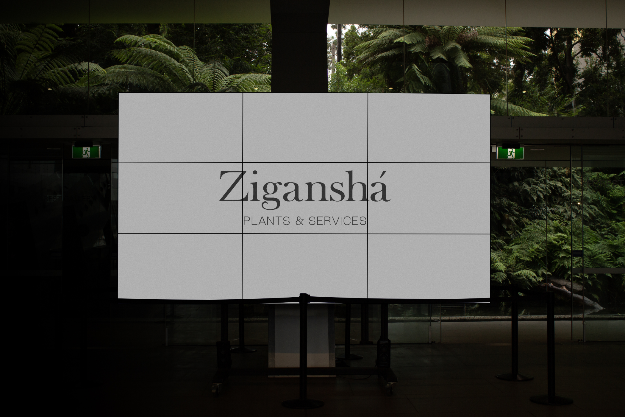 Zigansha Plants | Redesign website — Изображение №6 — Интерфейсы на Dprofile