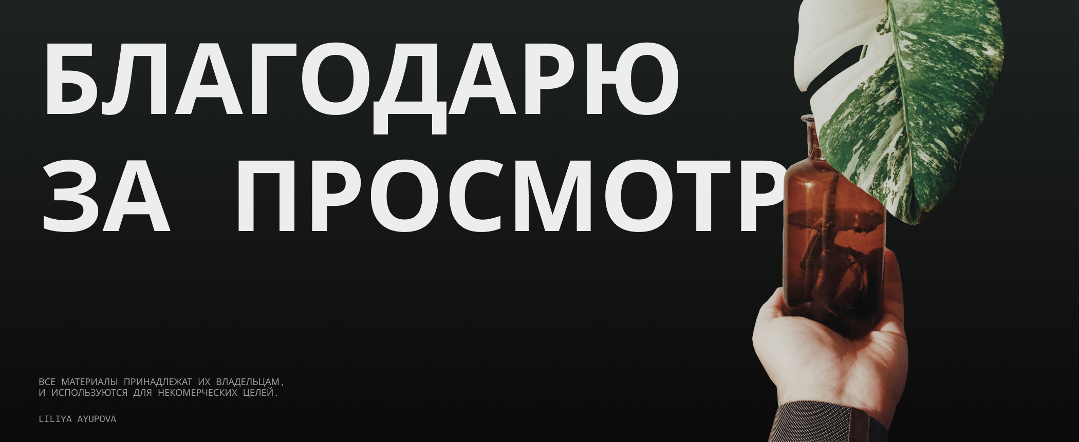 Zigansha Plants | Redesign website — Изображение №12 — Интерфейсы на Dprofile