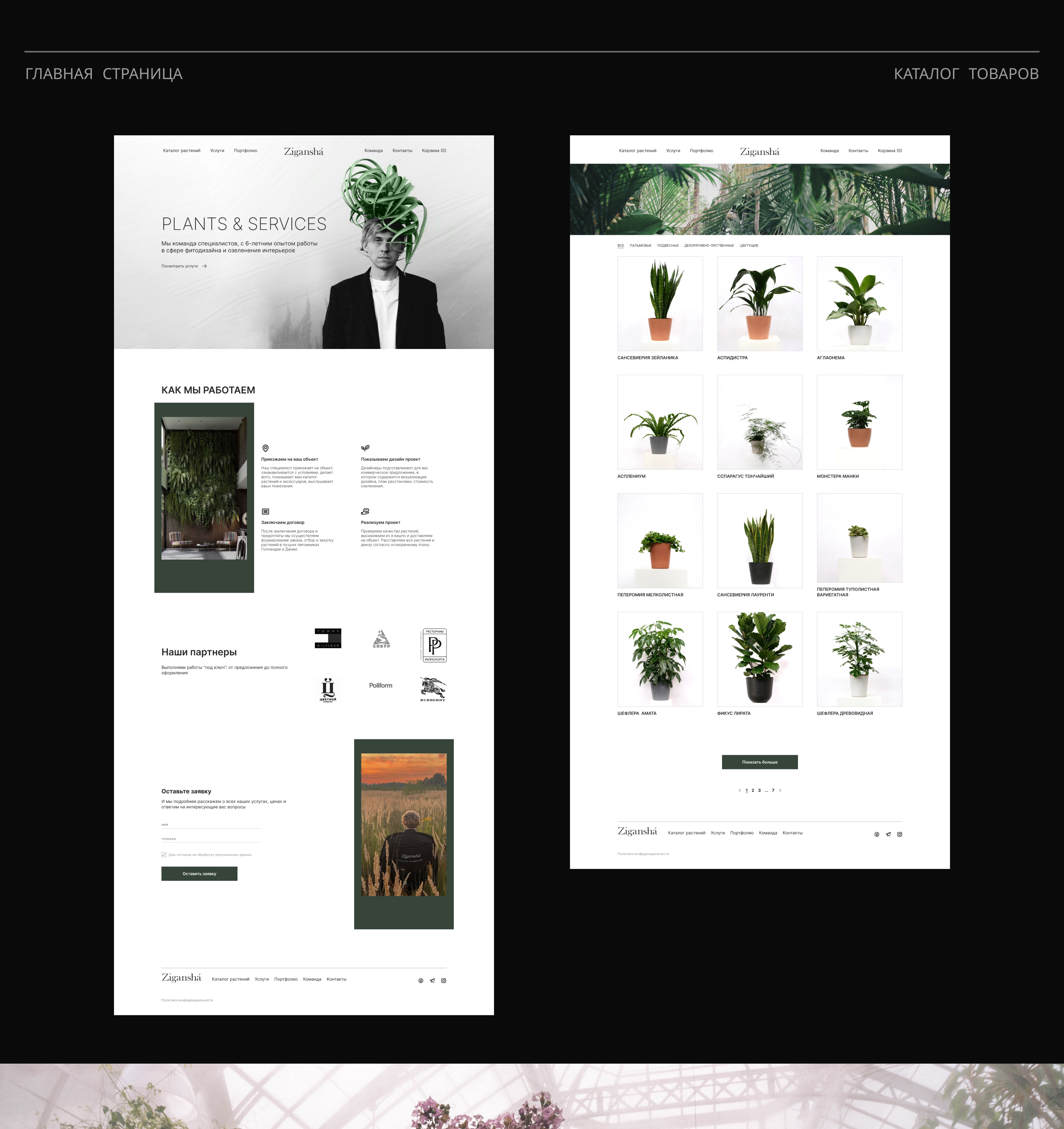 Zigansha Plants | Redesign website — Изображение №7 — Интерфейсы на Dprofile