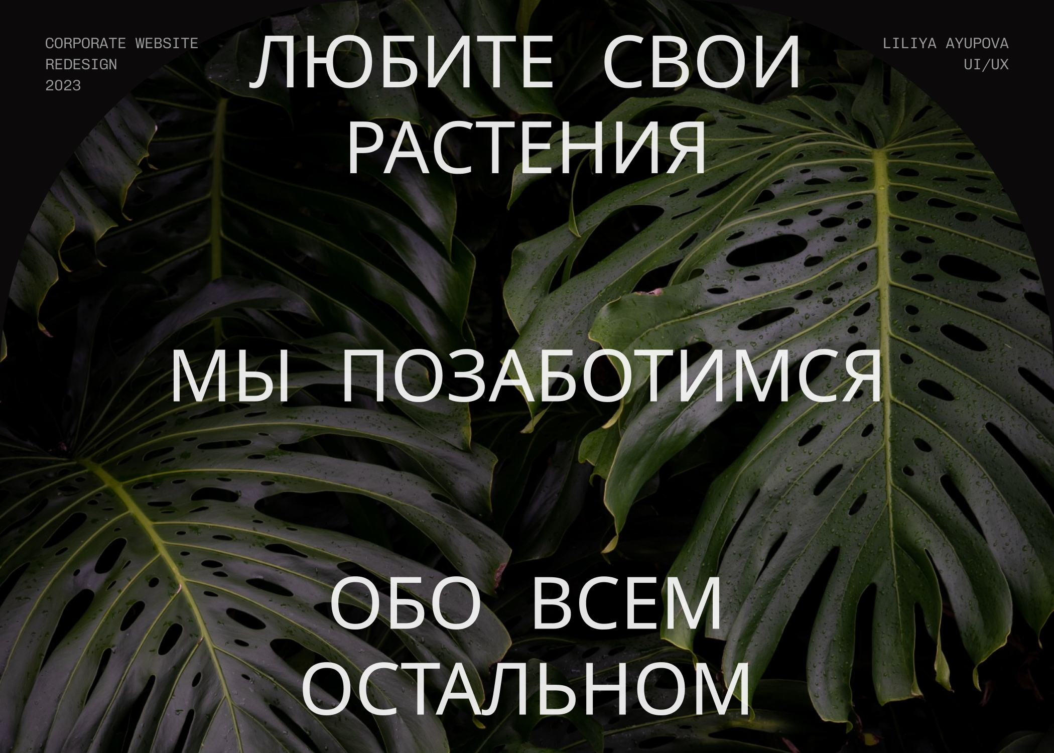 Zigansha Plants | Redesign website — Изображение №1 — Интерфейсы на Dprofile
