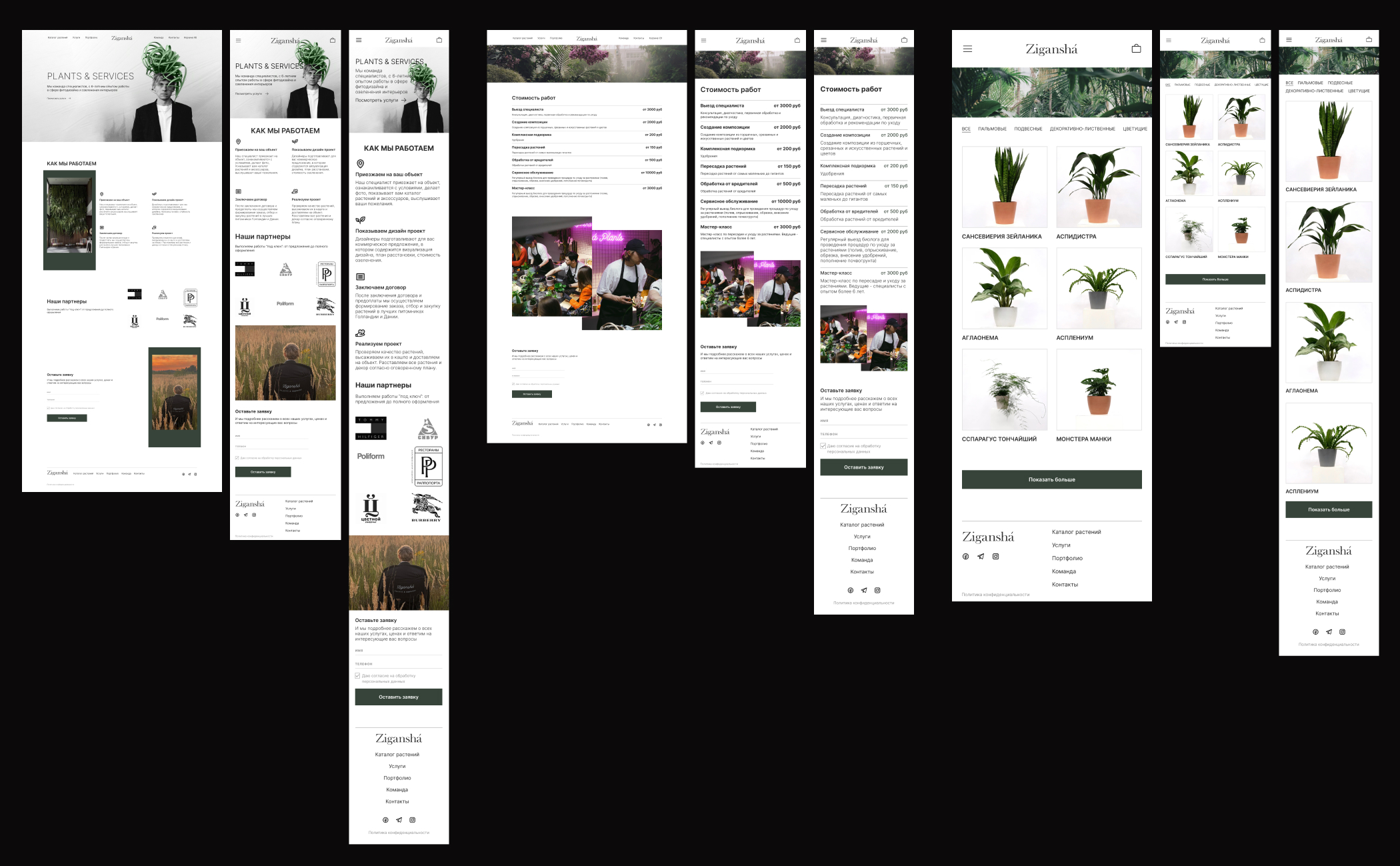 Zigansha Plants | Redesign website — Изображение №4 — Интерфейсы на Dprofile