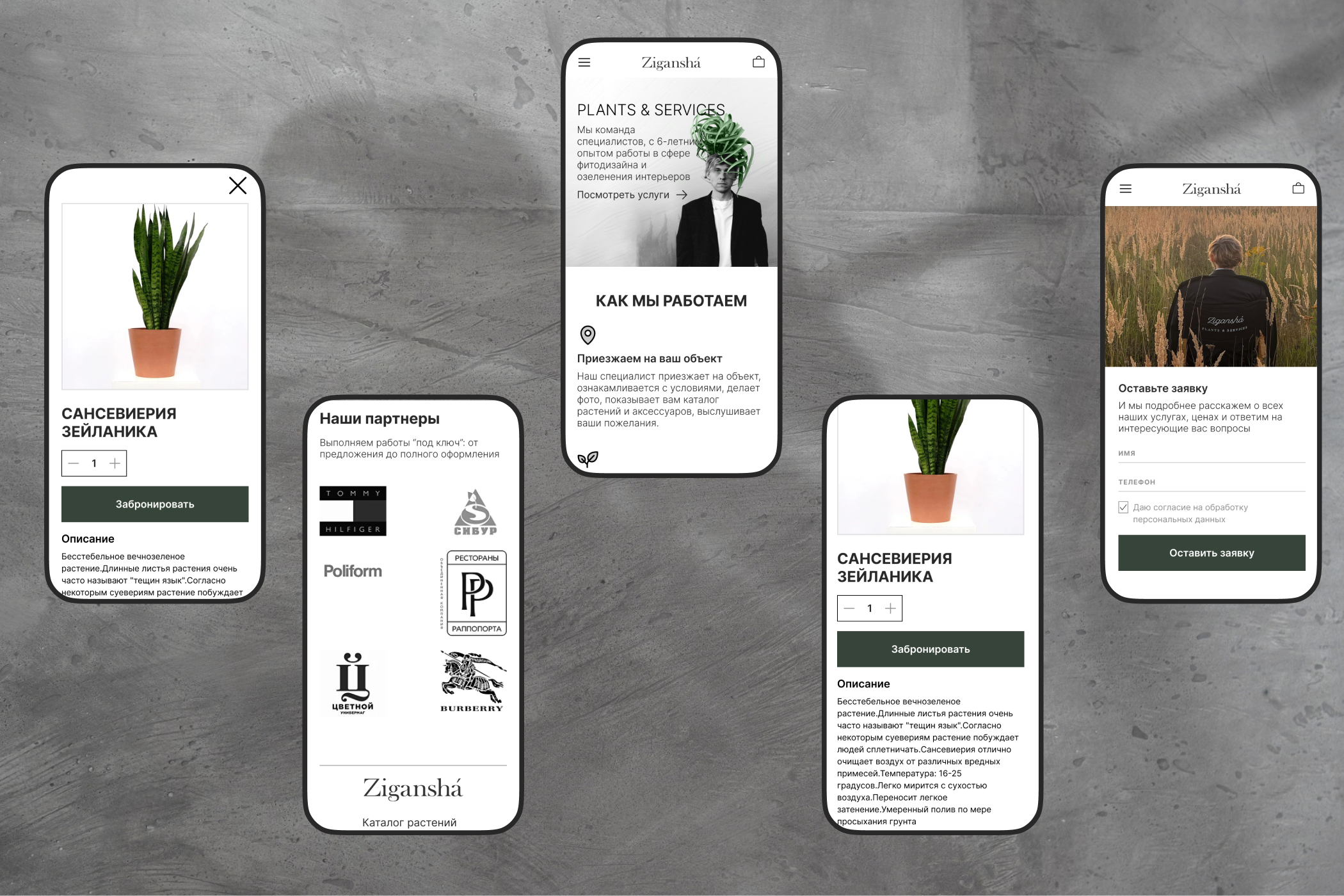 Zigansha Plants | Redesign website — Изображение №5 — Интерфейсы на Dprofile
