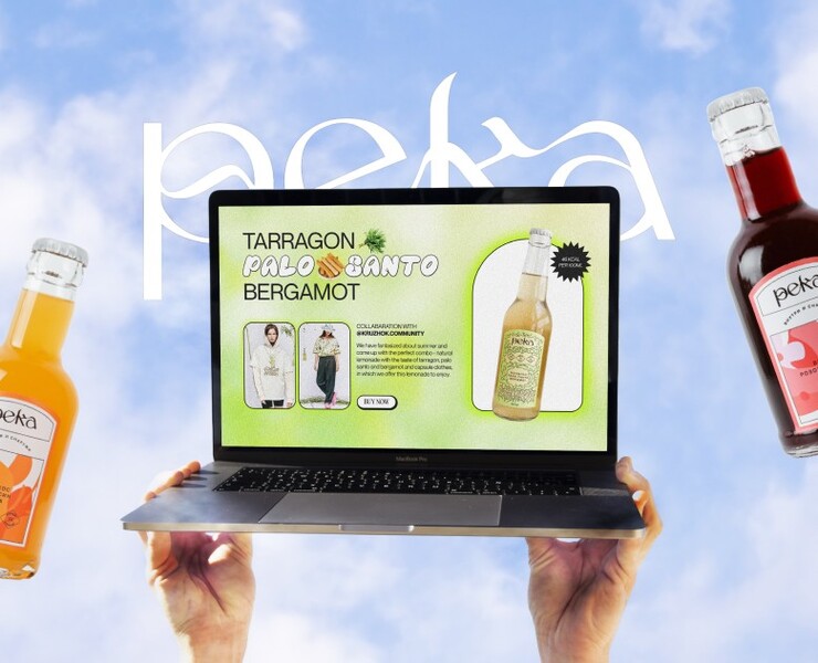 REKA.SOFTDRINKS | Website design — Интерфейсы, Иллюстрация на Dprofile
