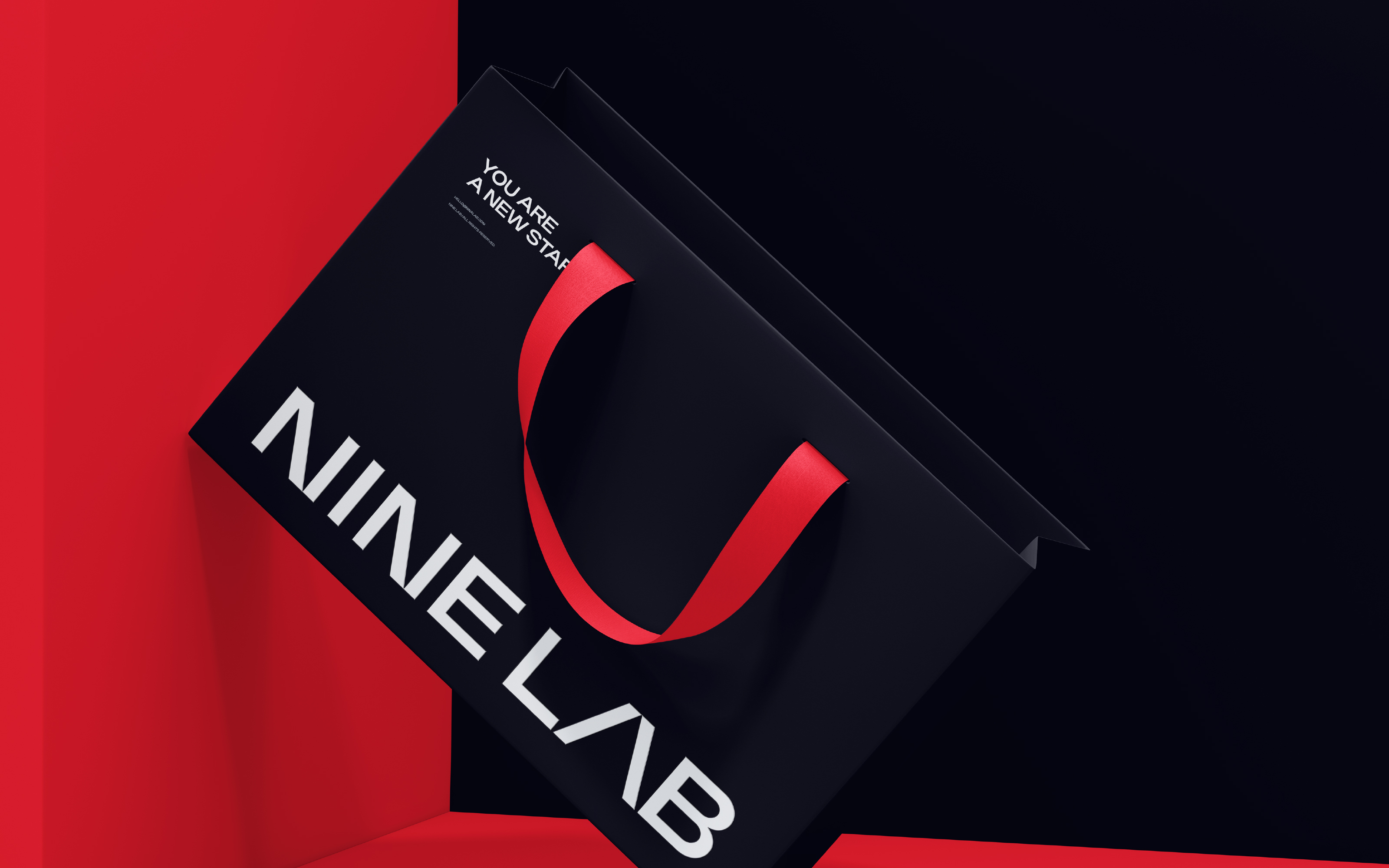 NINELAB© — Naming&visual identity — Изображение №22 — Брендинг на Dprofile