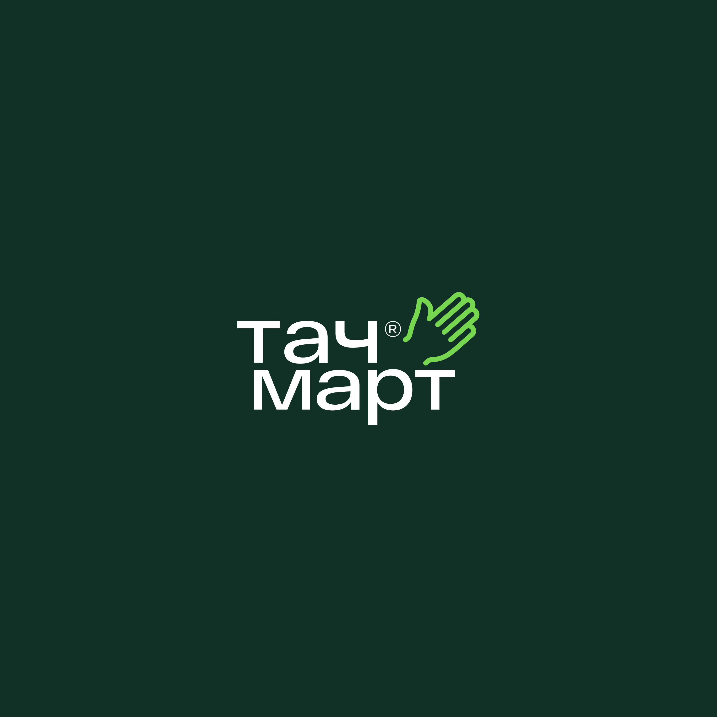 Touchmart© — Naming & visual identity — Изображение №6 — Брендинг на Dprofile