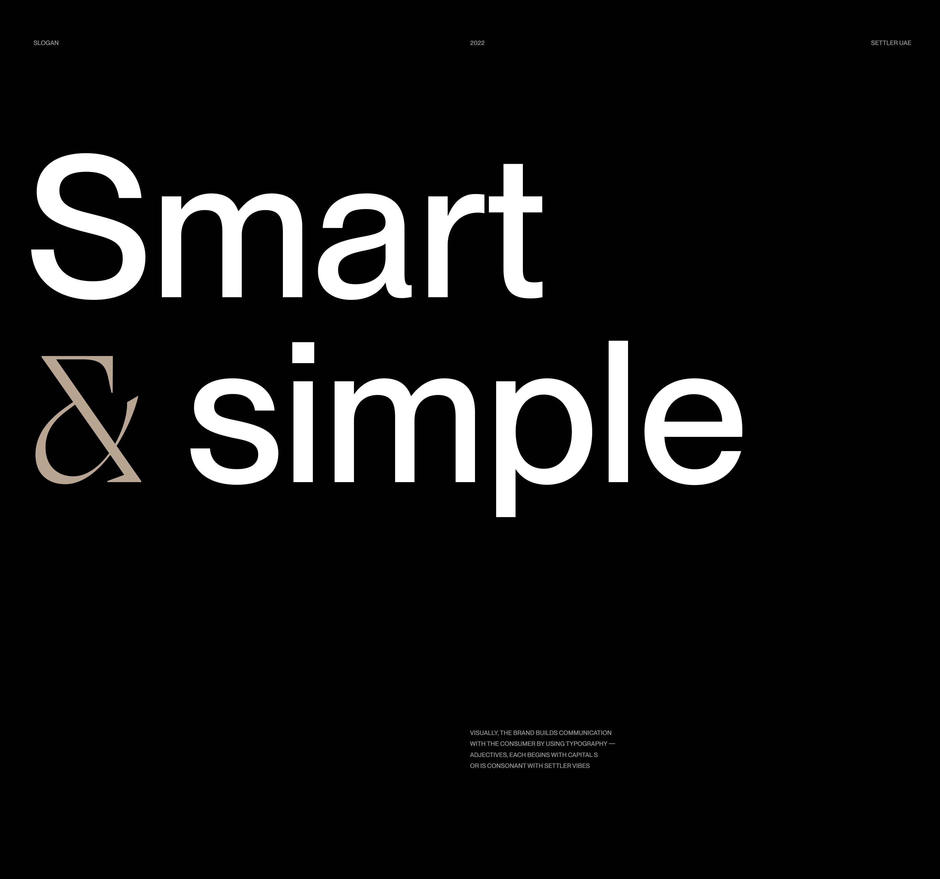 Settler© — Visual identity — Изображение №5 — Брендинг на Dprofile