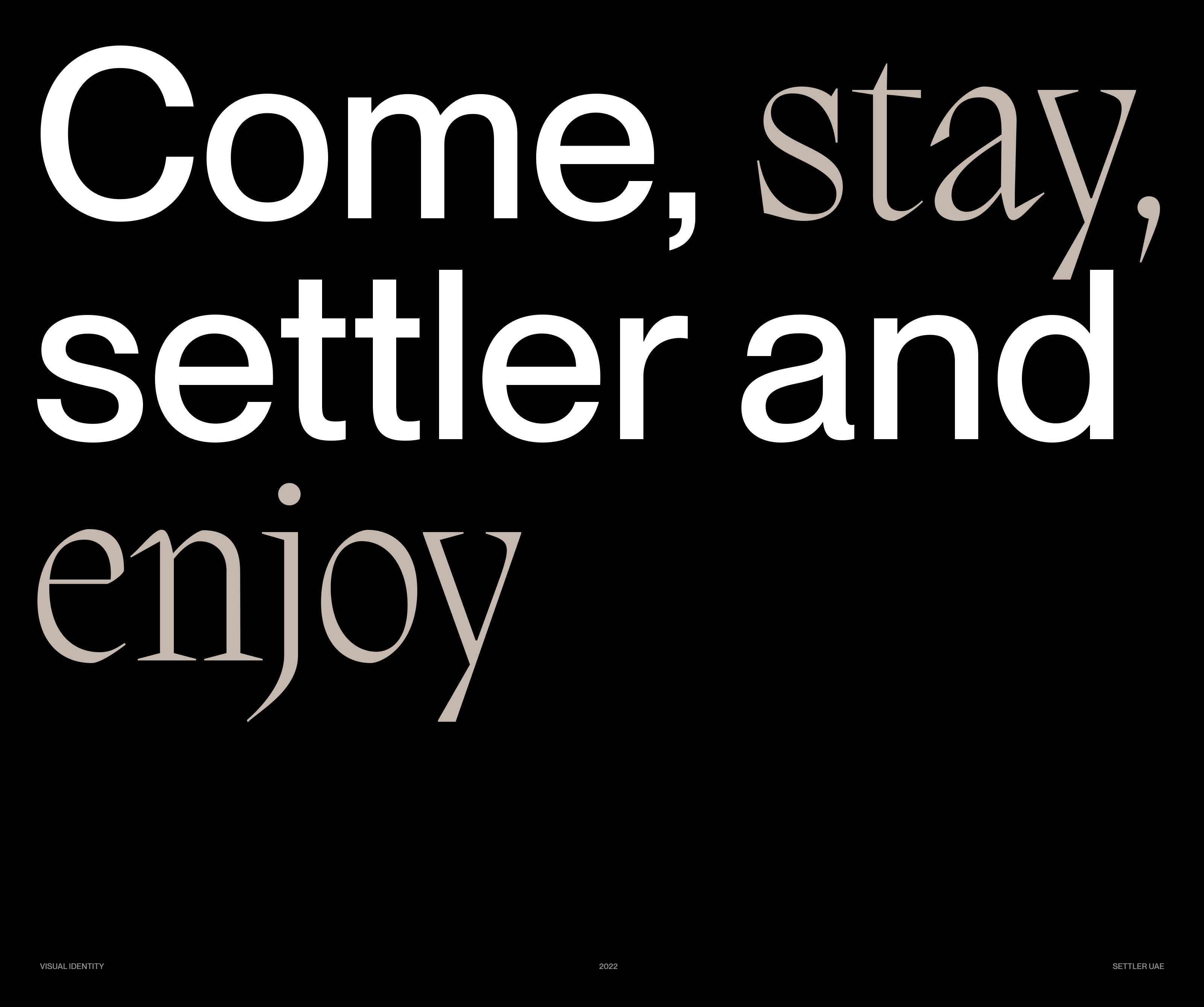 Settler© — Visual identity — Изображение №1 — Брендинг на Dprofile