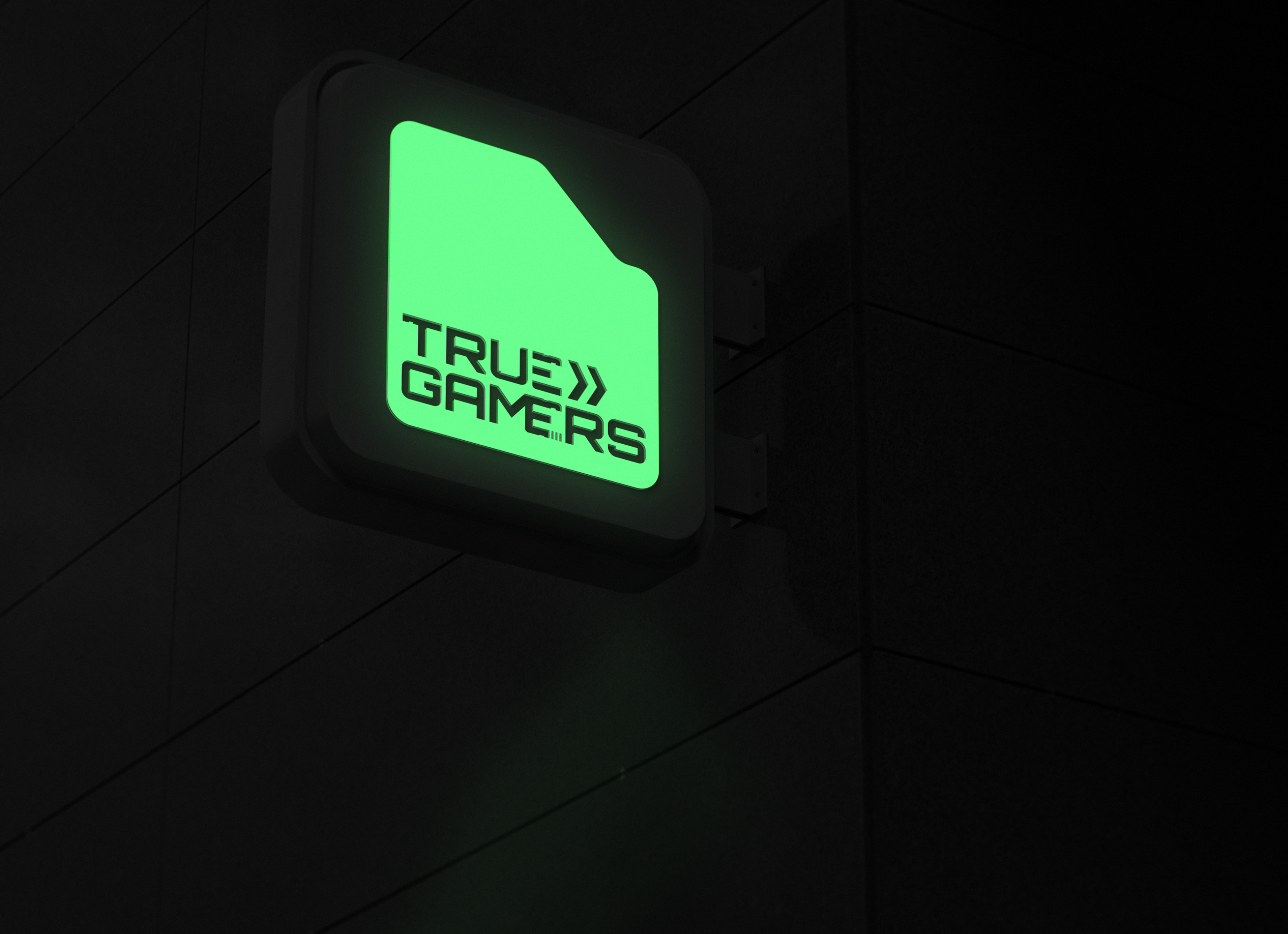 True Gamers© — Visual identity redesign — Изображение №9 — Брендинг на Dprofile