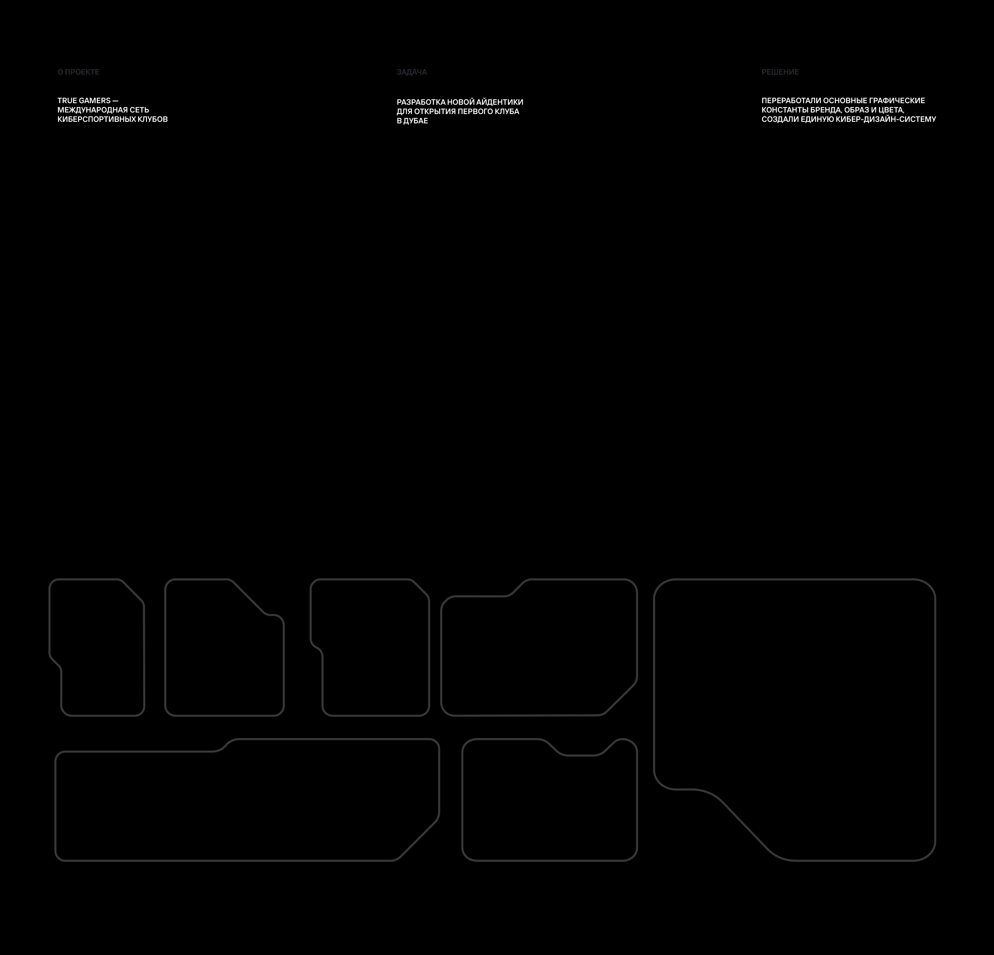 True Gamers© — Visual identity redesign — Изображение №2 — Брендинг на Dprofile