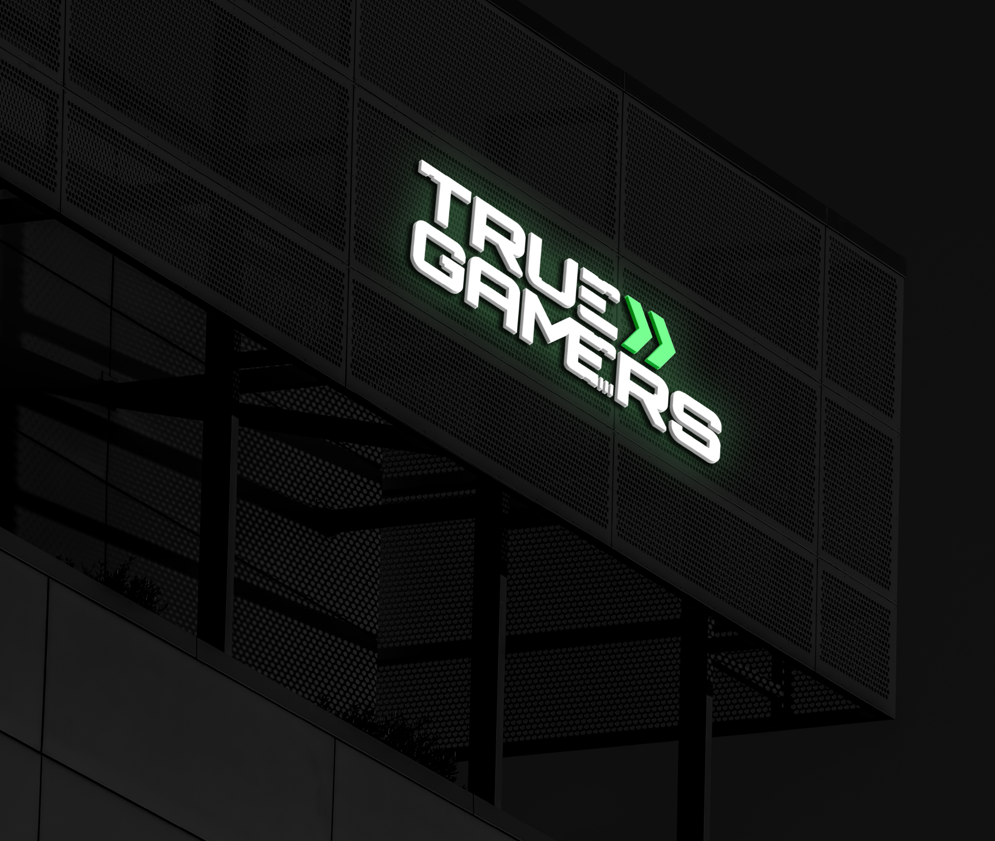 True Gamers© — Visual identity redesign — Изображение №12 — Брендинг на Dprofile