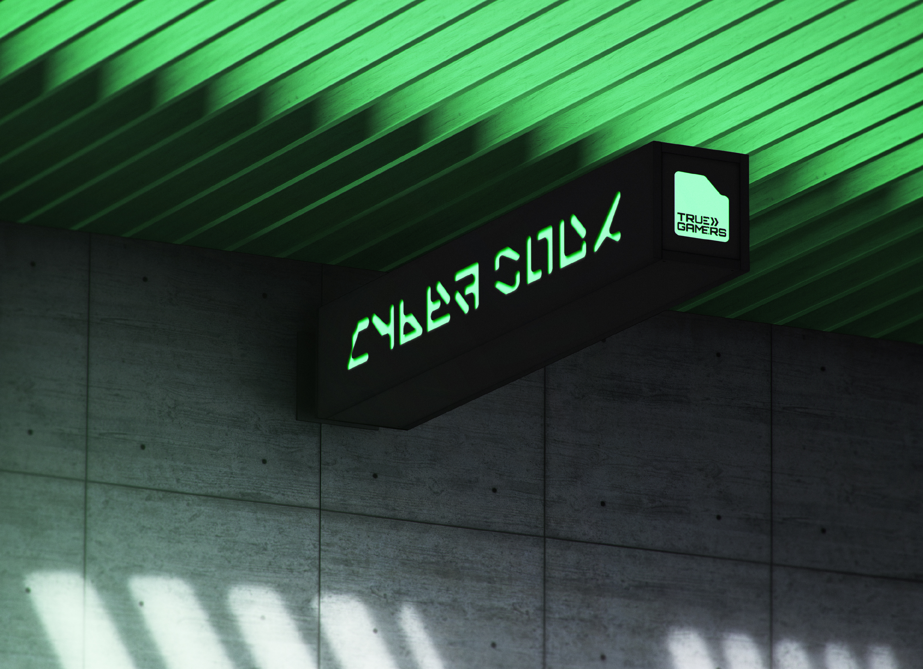 True Gamers© — Visual identity redesign — Изображение №11 — Брендинг на Dprofile