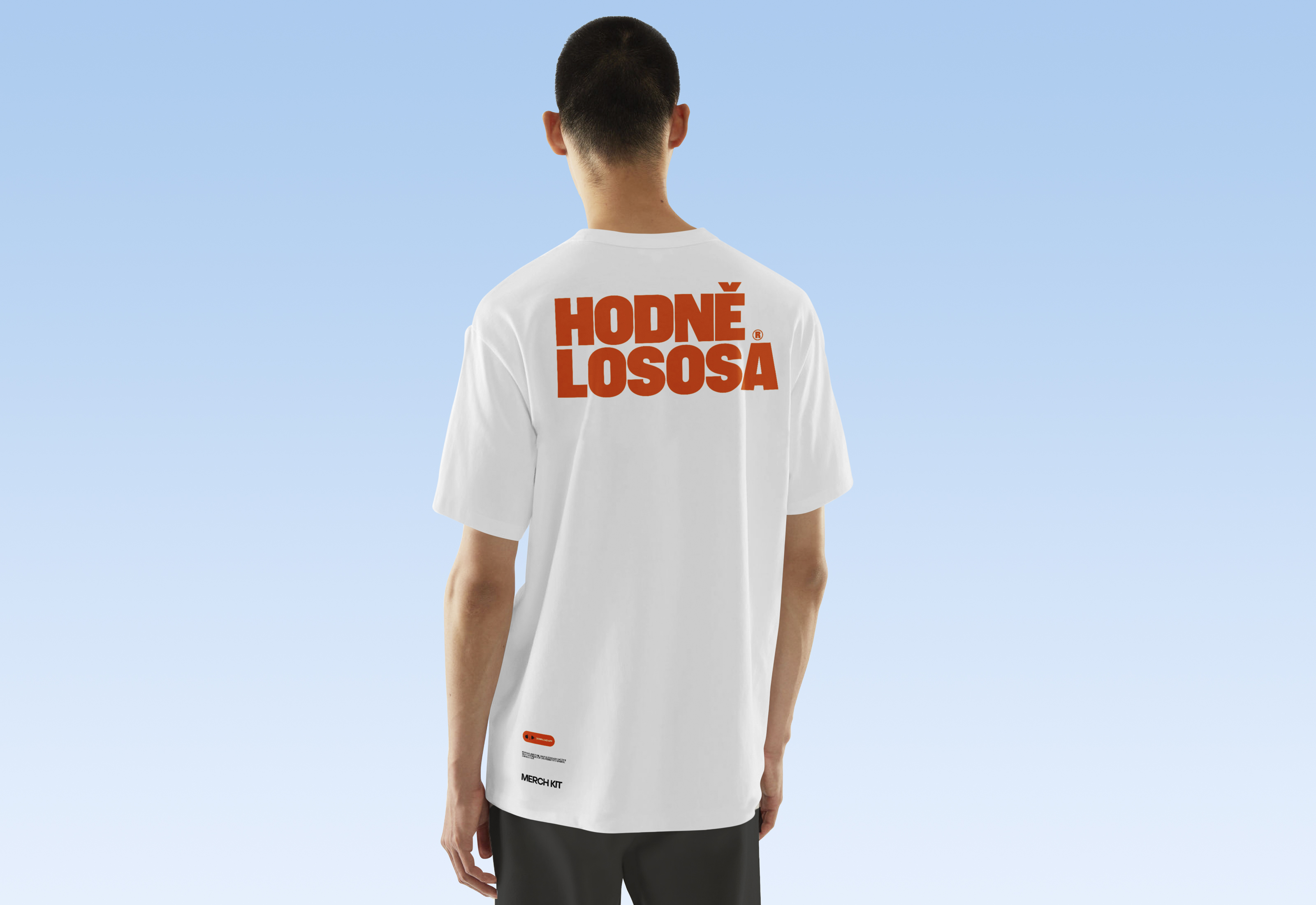 Hodně lososa© — Express identity — Изображение №11 — Брендинг на Dprofile