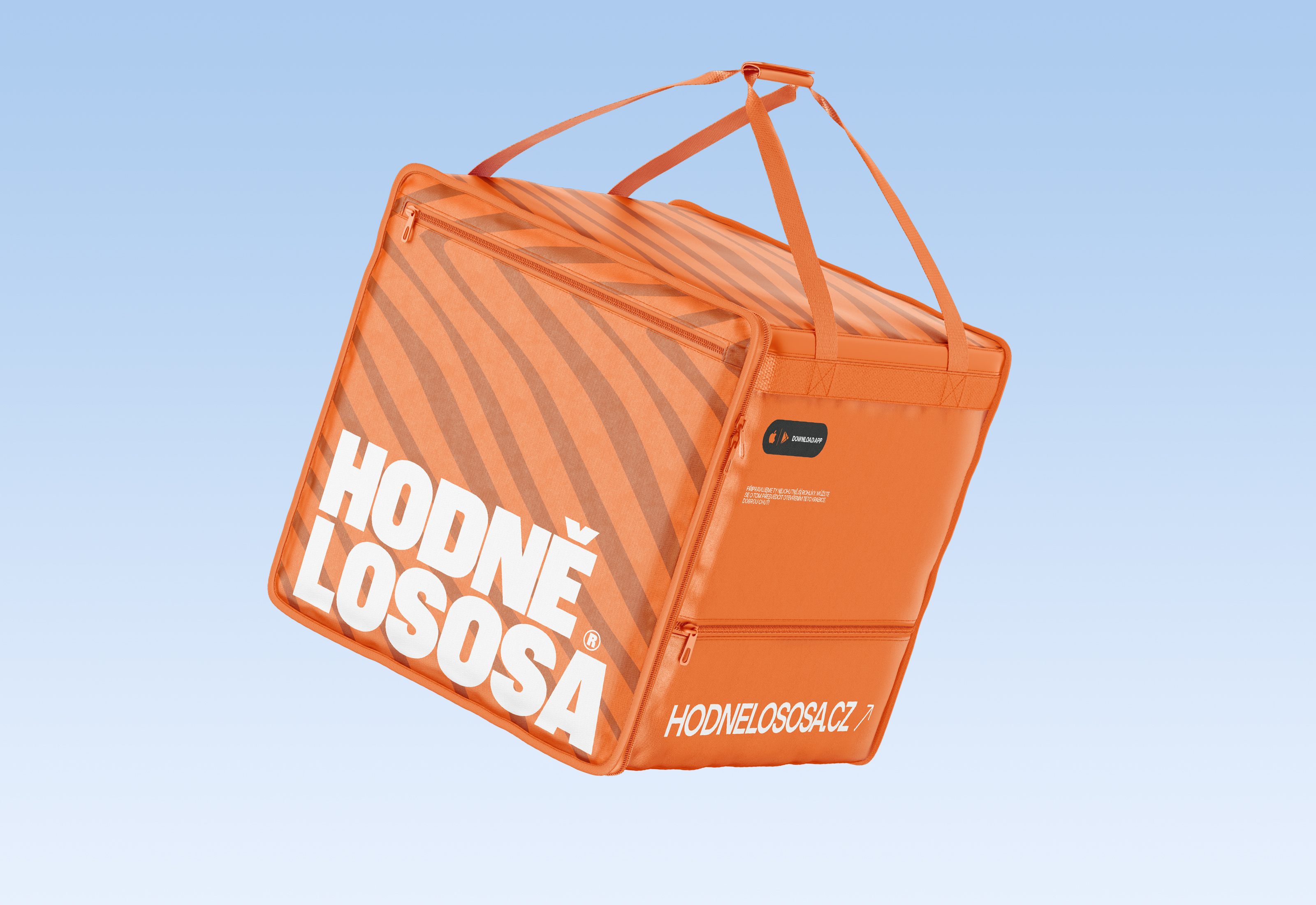 Hodně lososa© — Express identity — Изображение №9 — Брендинг на Dprofile