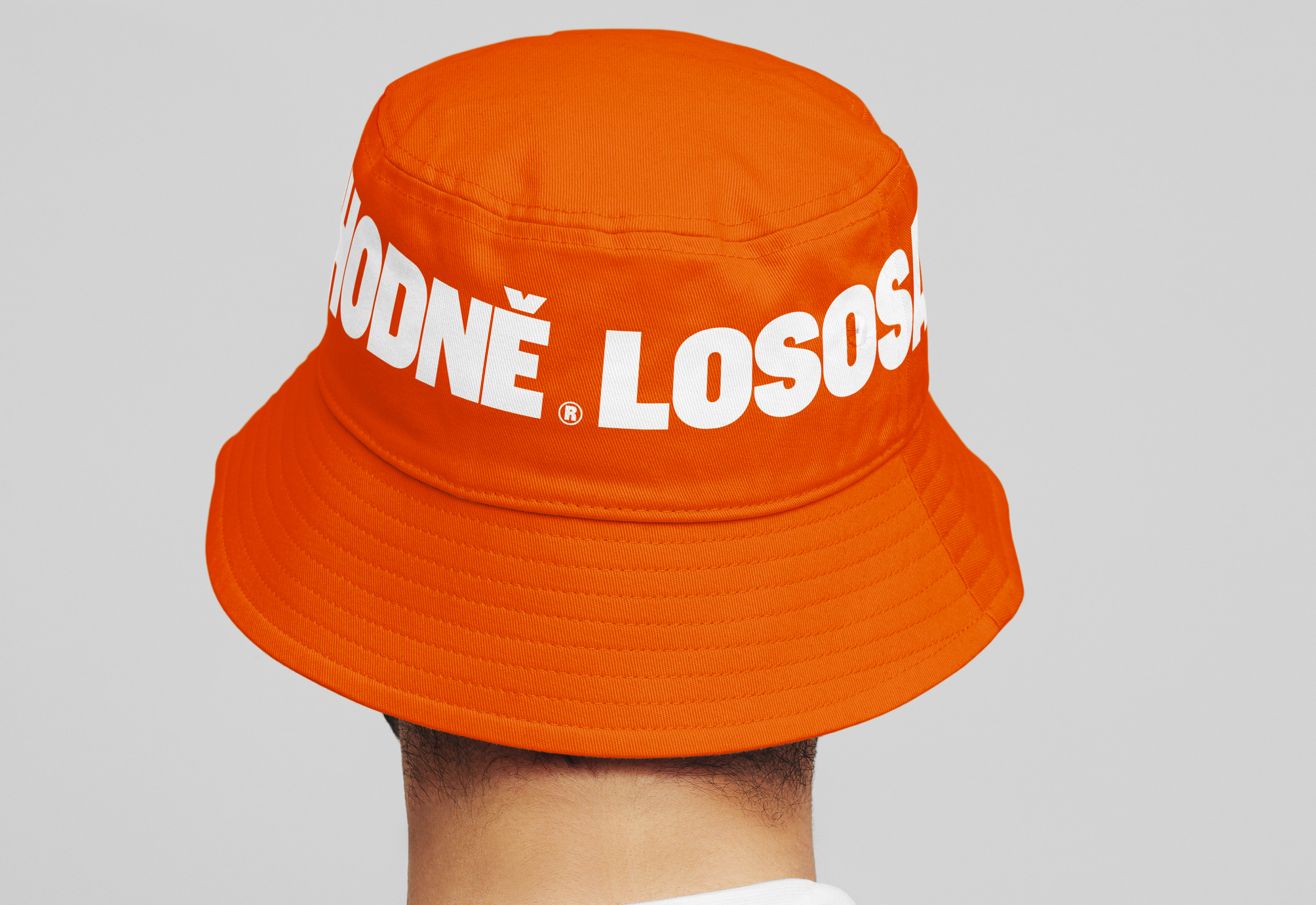 Hodně lososa© — Express identity — Изображение №1 — Брендинг на Dprofile