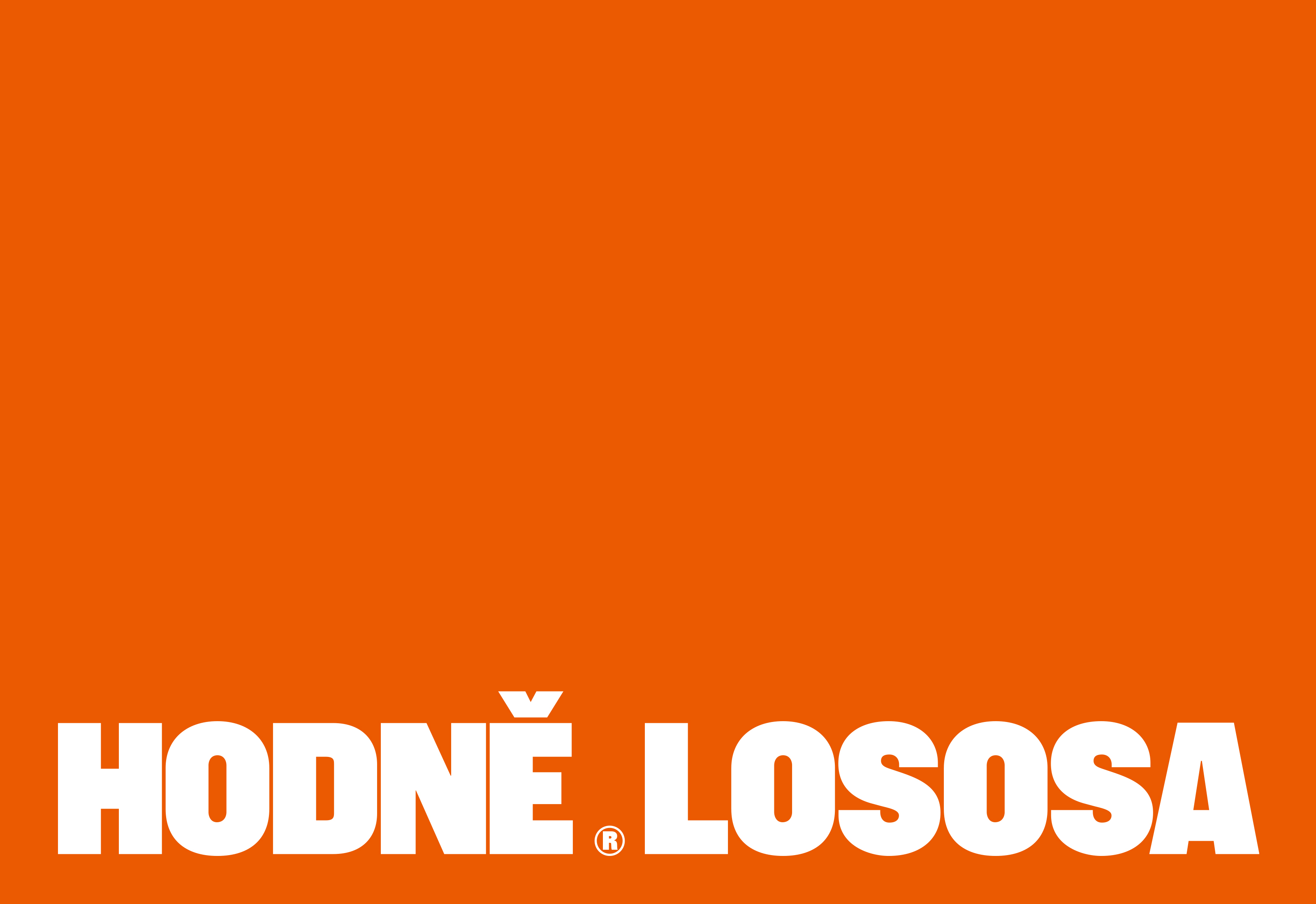 Hodně lososa© — Express identity — Изображение №4 — Брендинг на Dprofile