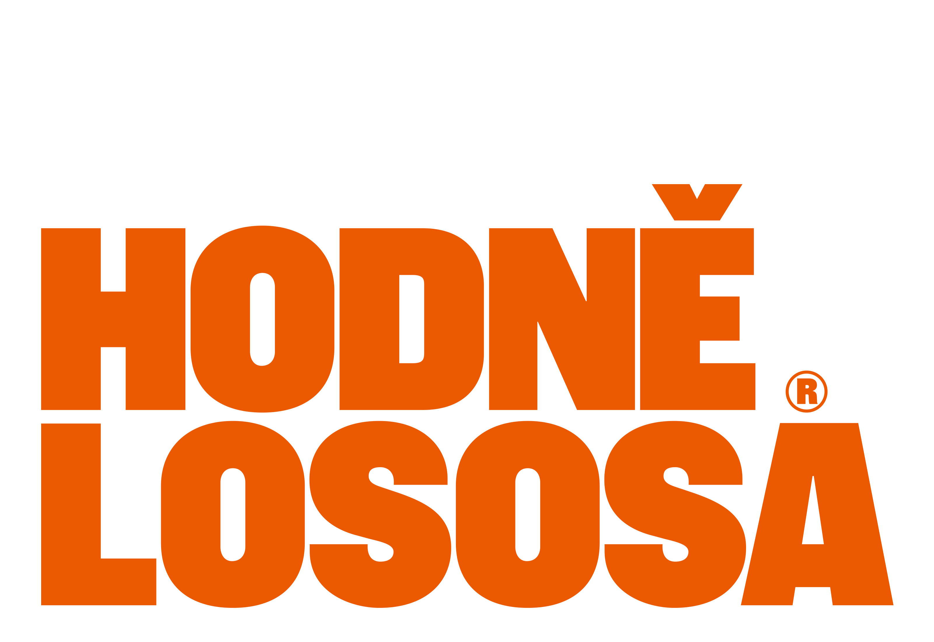 Hodně lososa© — Express identity — Изображение №3 — Брендинг на Dprofile
