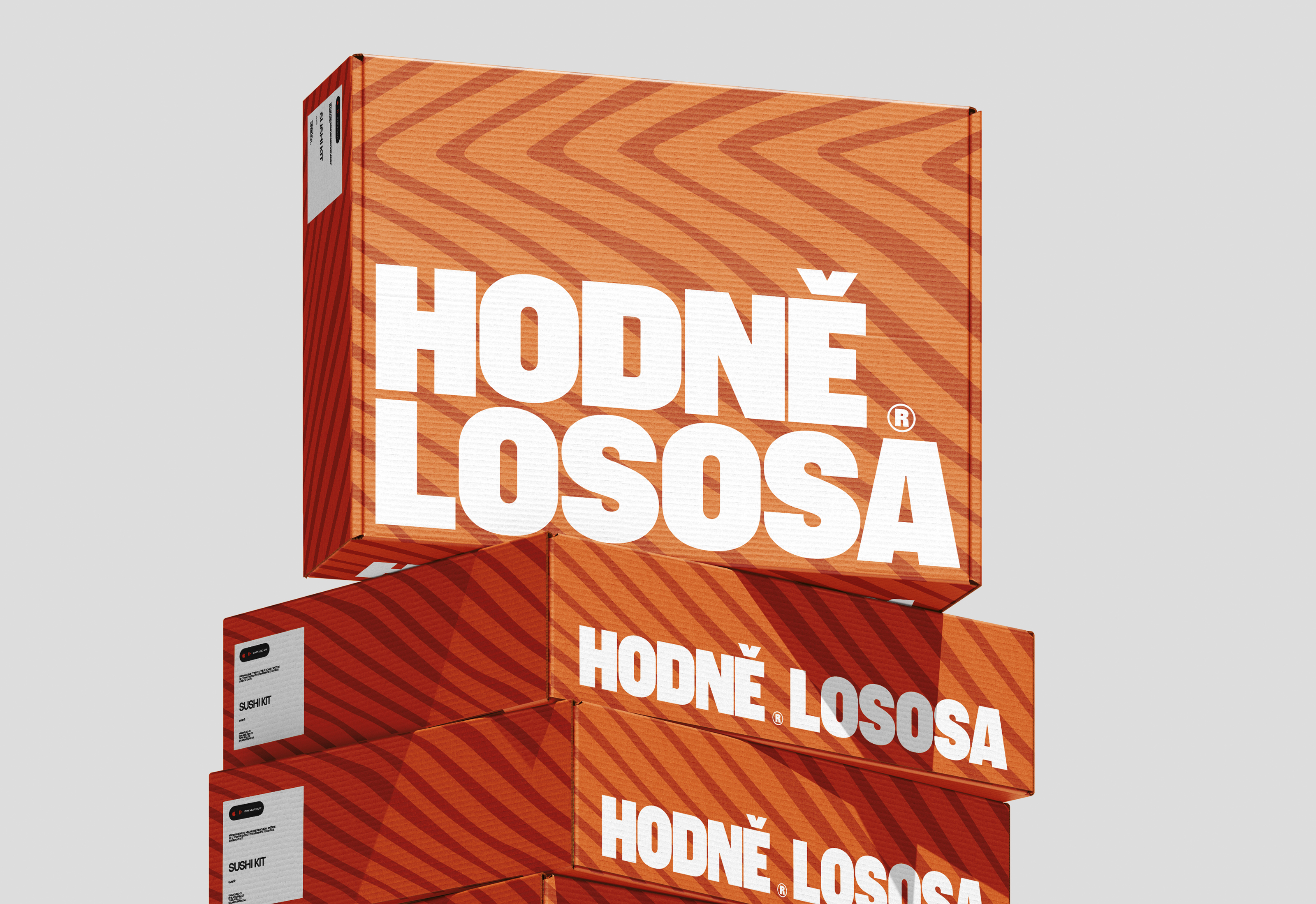 Hodně lososa© — Express identity — Изображение №5 — Брендинг на Dprofile
