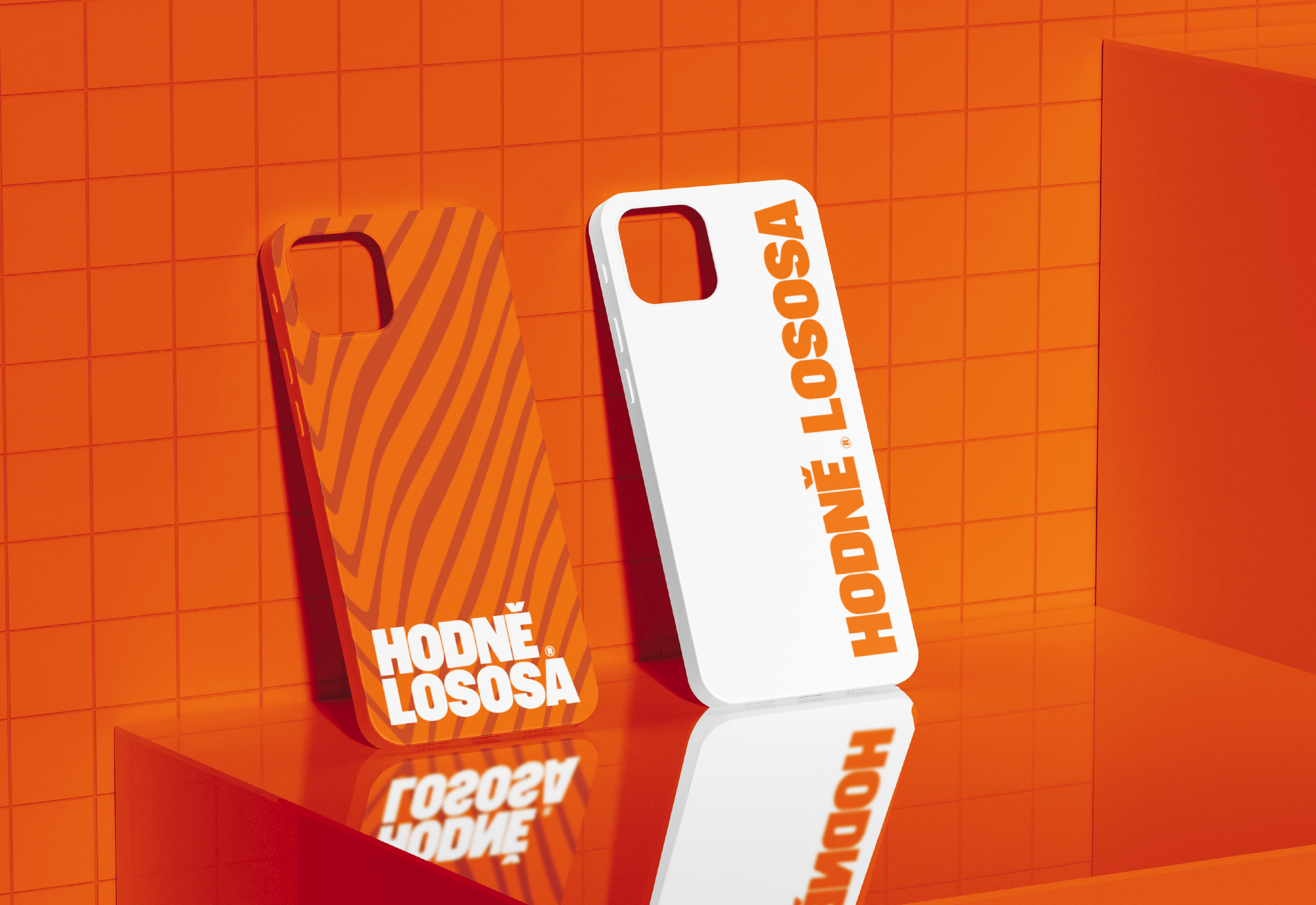 Hodně lososa© — Express identity — Изображение №13 — Брендинг на Dprofile