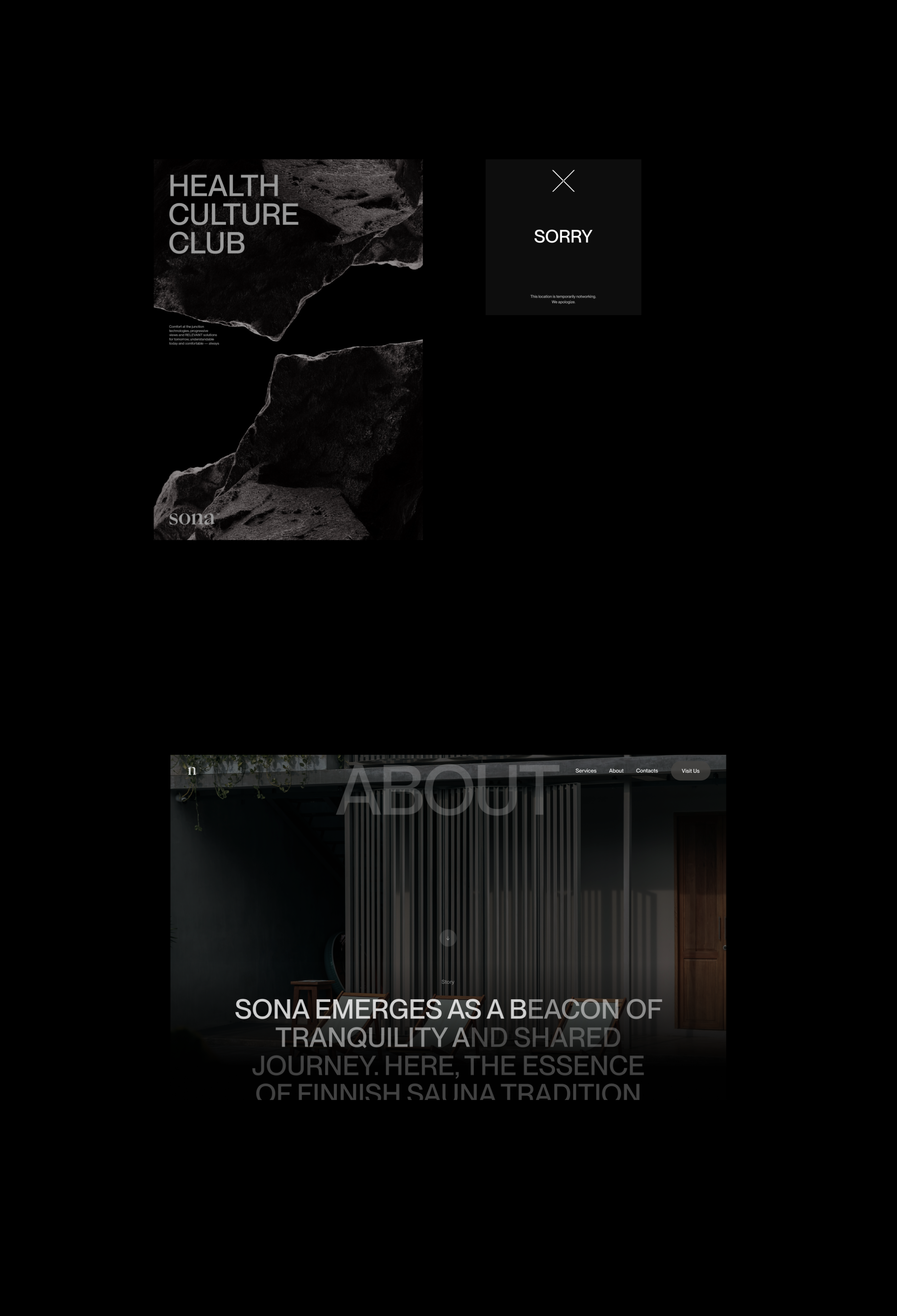 Sona© — Website design — Изображение №7 — Интерфейсы, Анимация на Dprofile