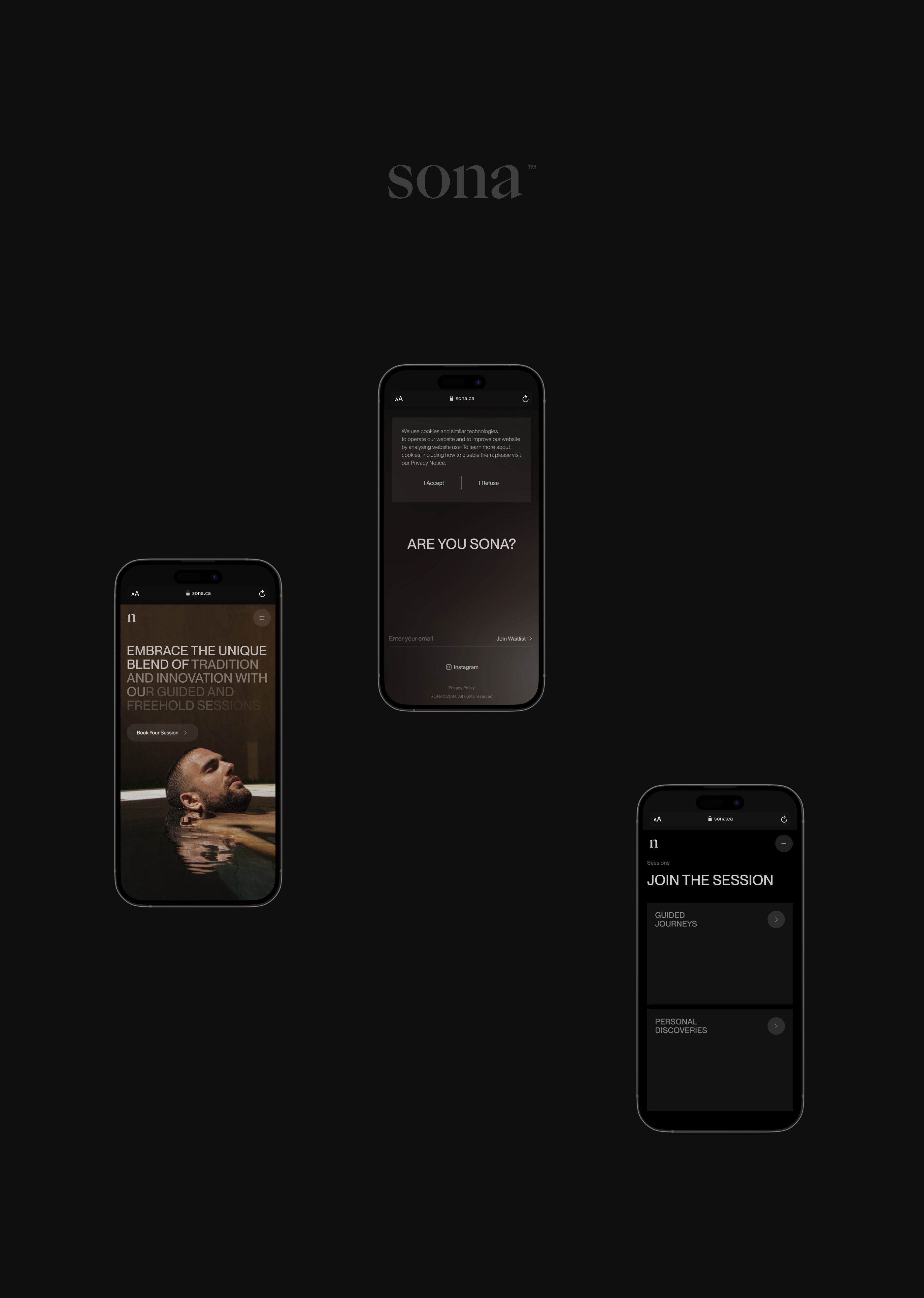Sona© — Website design — Изображение №4 — Интерфейсы, Анимация на Dprofile