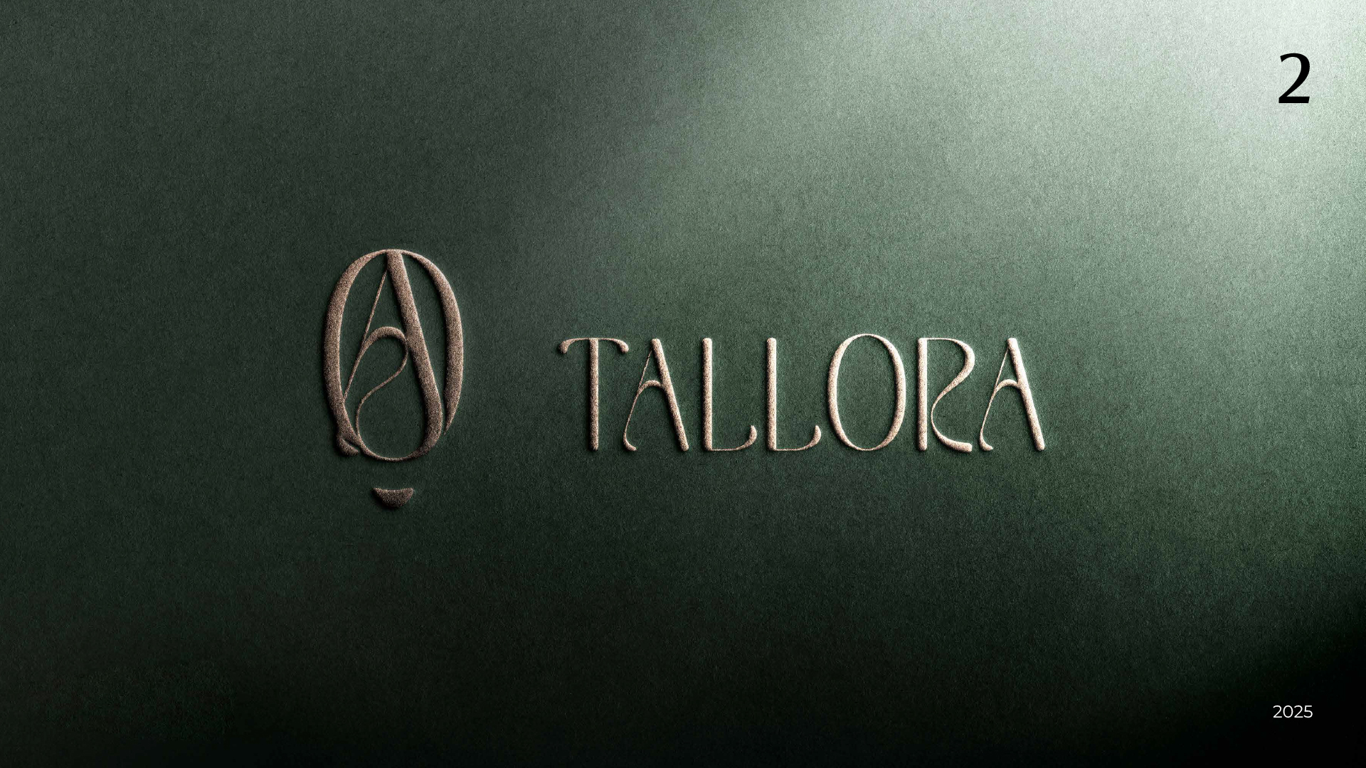 Логотип для бренда обуви Tallora — Изображение №10 — Брендинг на Dprofile