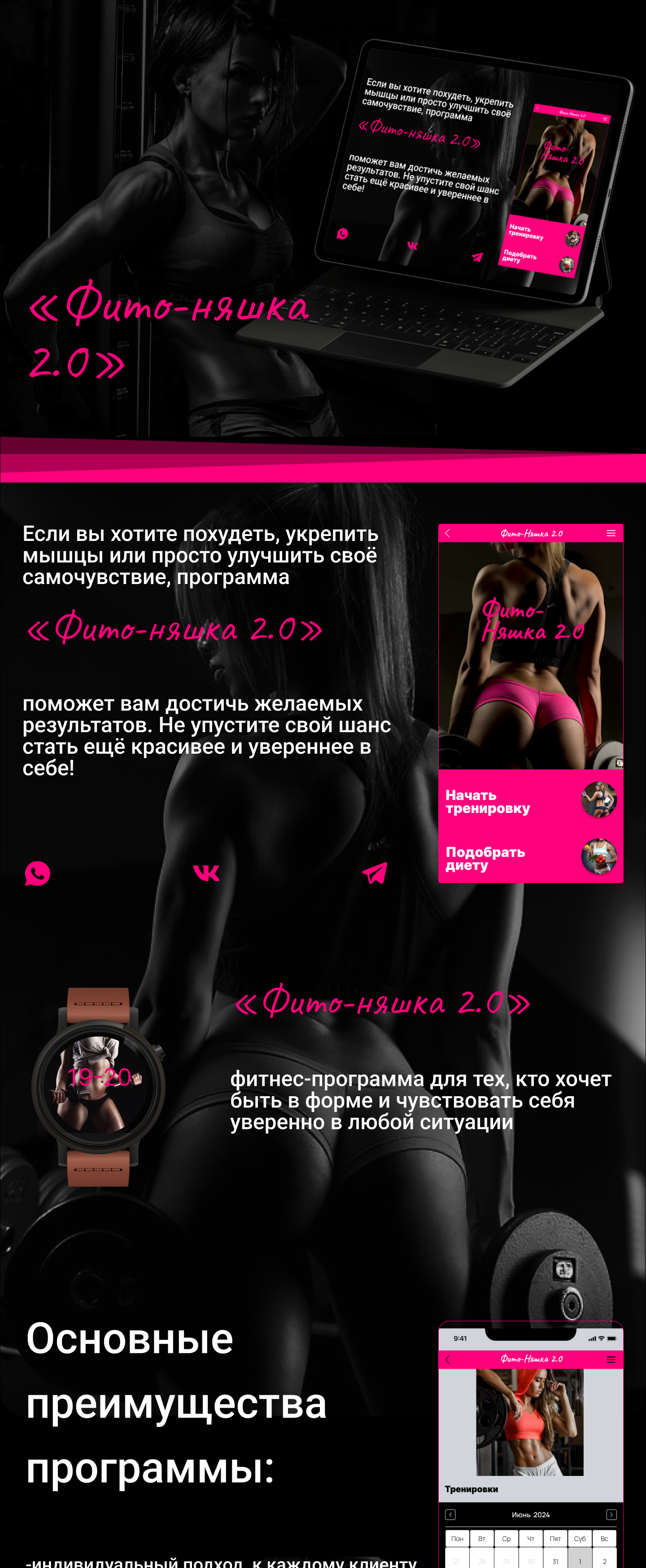 Фито- няшка 2.0 — Изображение №1 — Интерфейсы, Брендинг на Dprofile