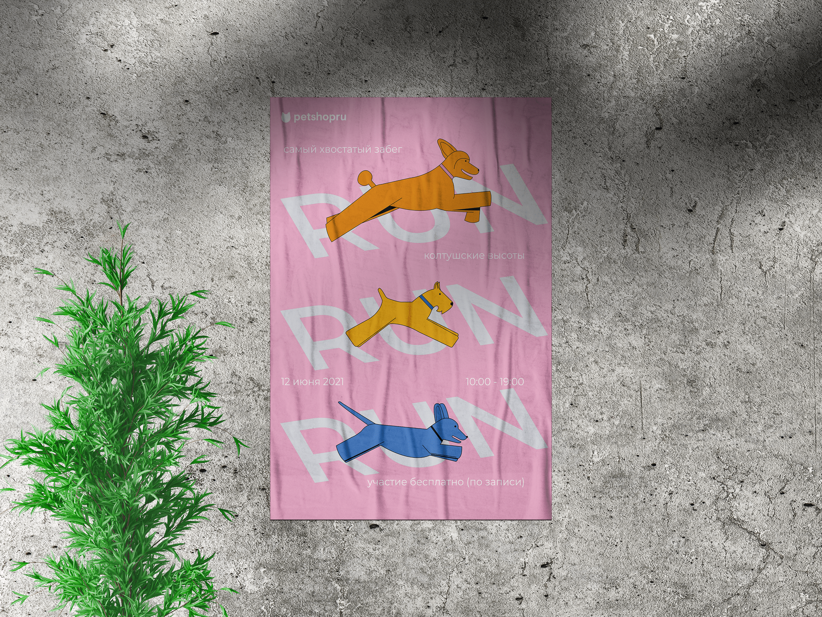 Coursing Roster (petshop) — Изображение №3 — Брендинг, Графика на Dprofile