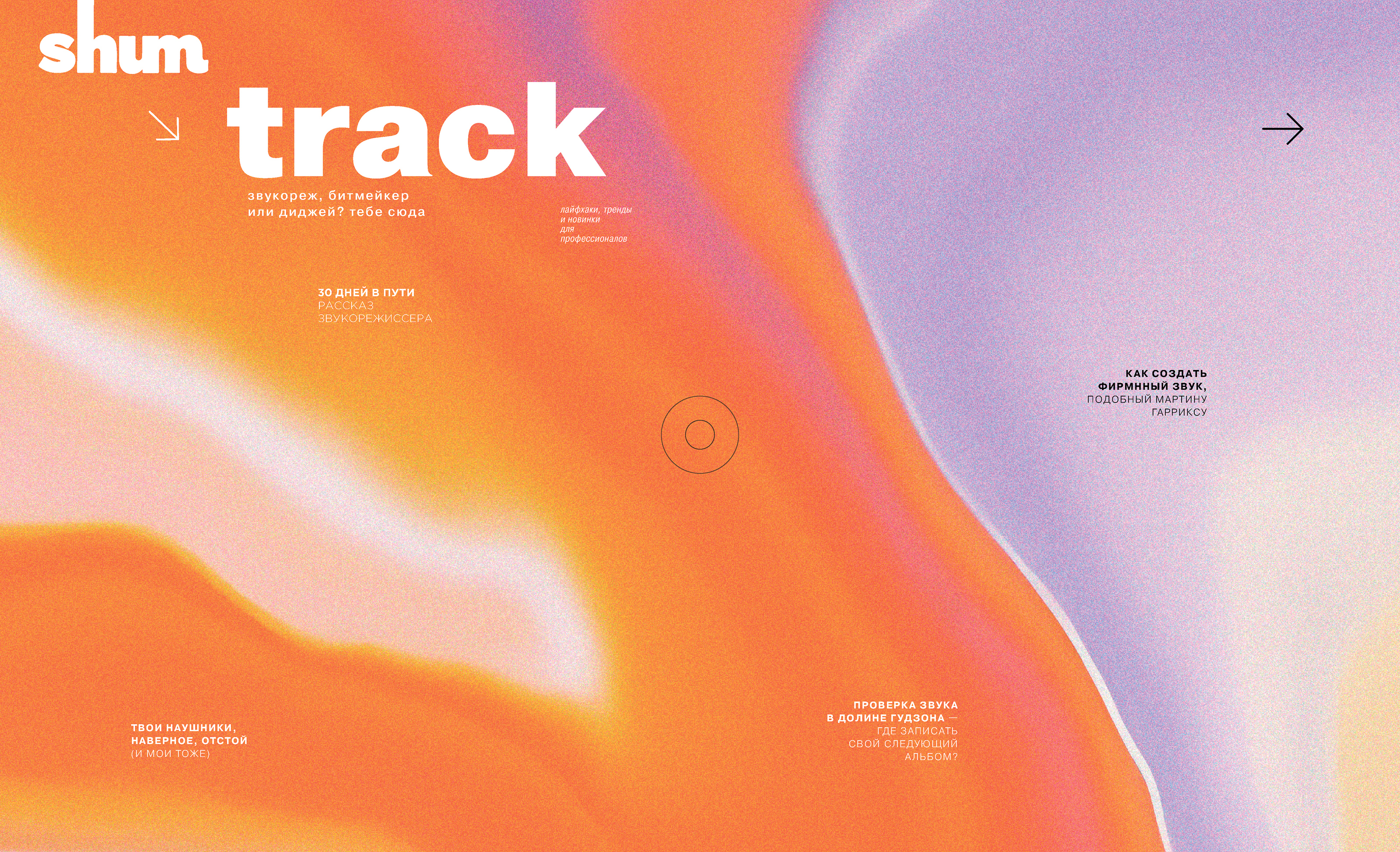 «shum» magazine — Изображение №52 — Брендинг, Графика на Dprofile