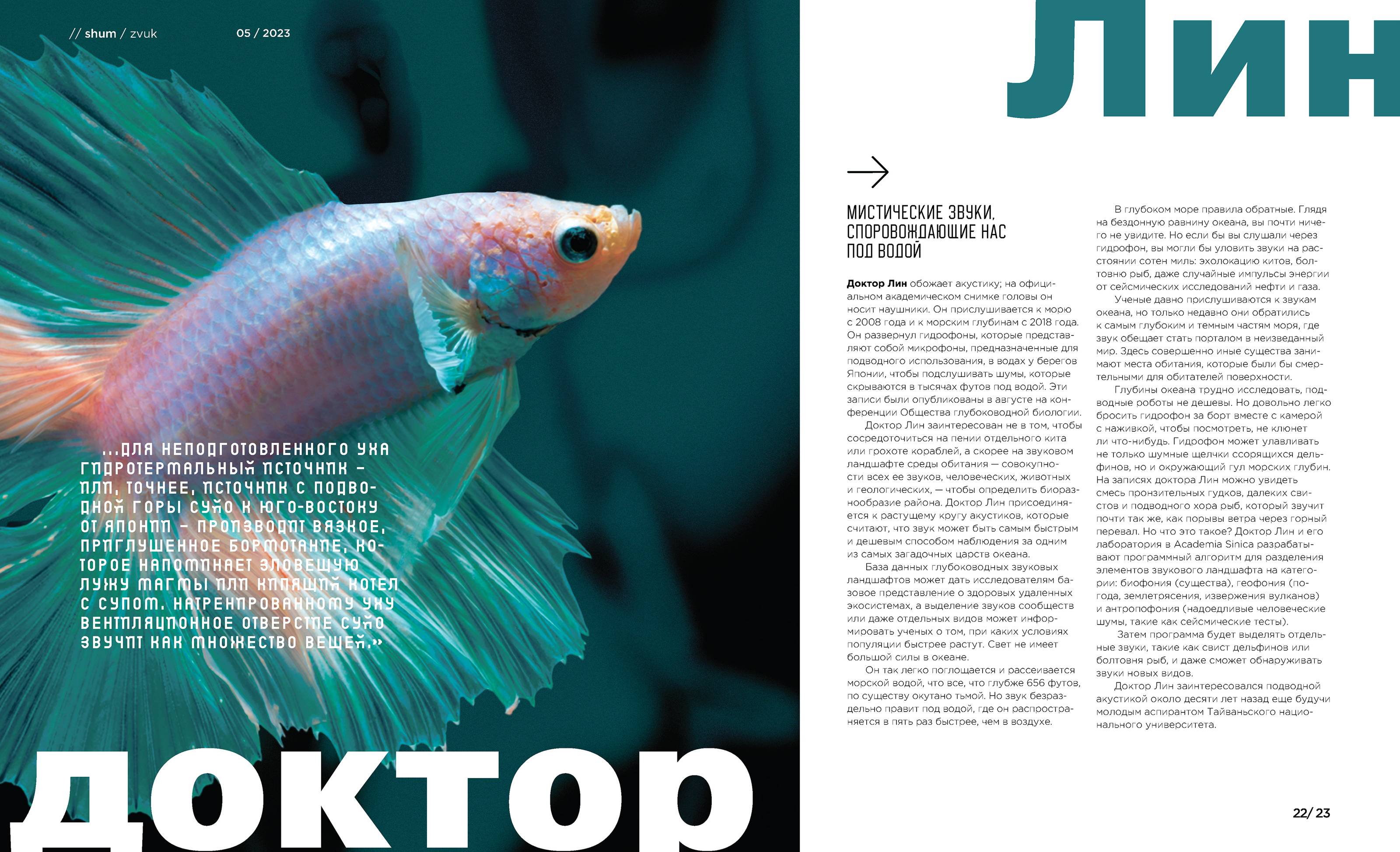 «shum» magazine — Изображение №39 — Брендинг, Графика на Dprofile