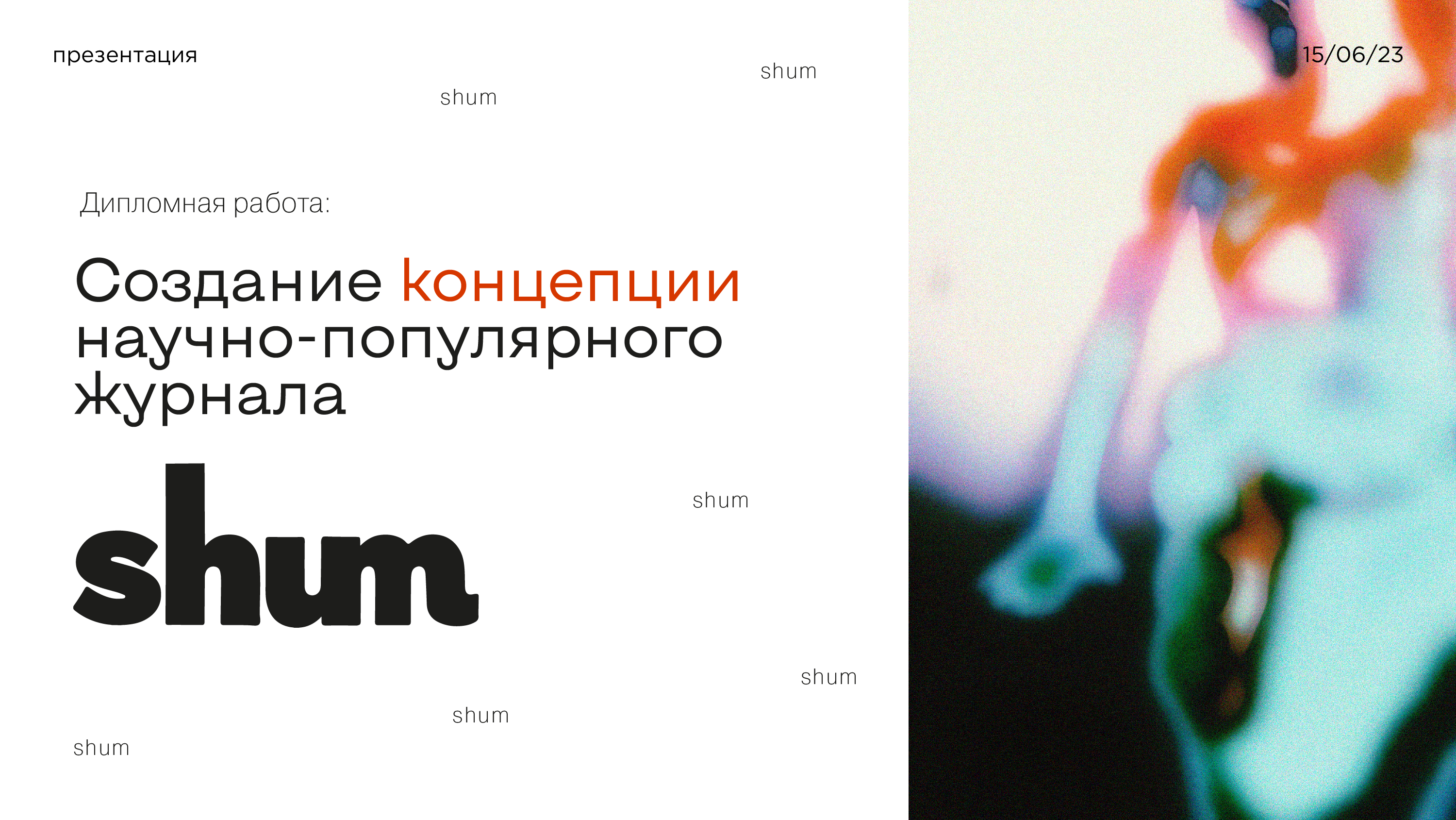 «shum» magazine — Изображение №1 — Брендинг, Графика на Dprofile