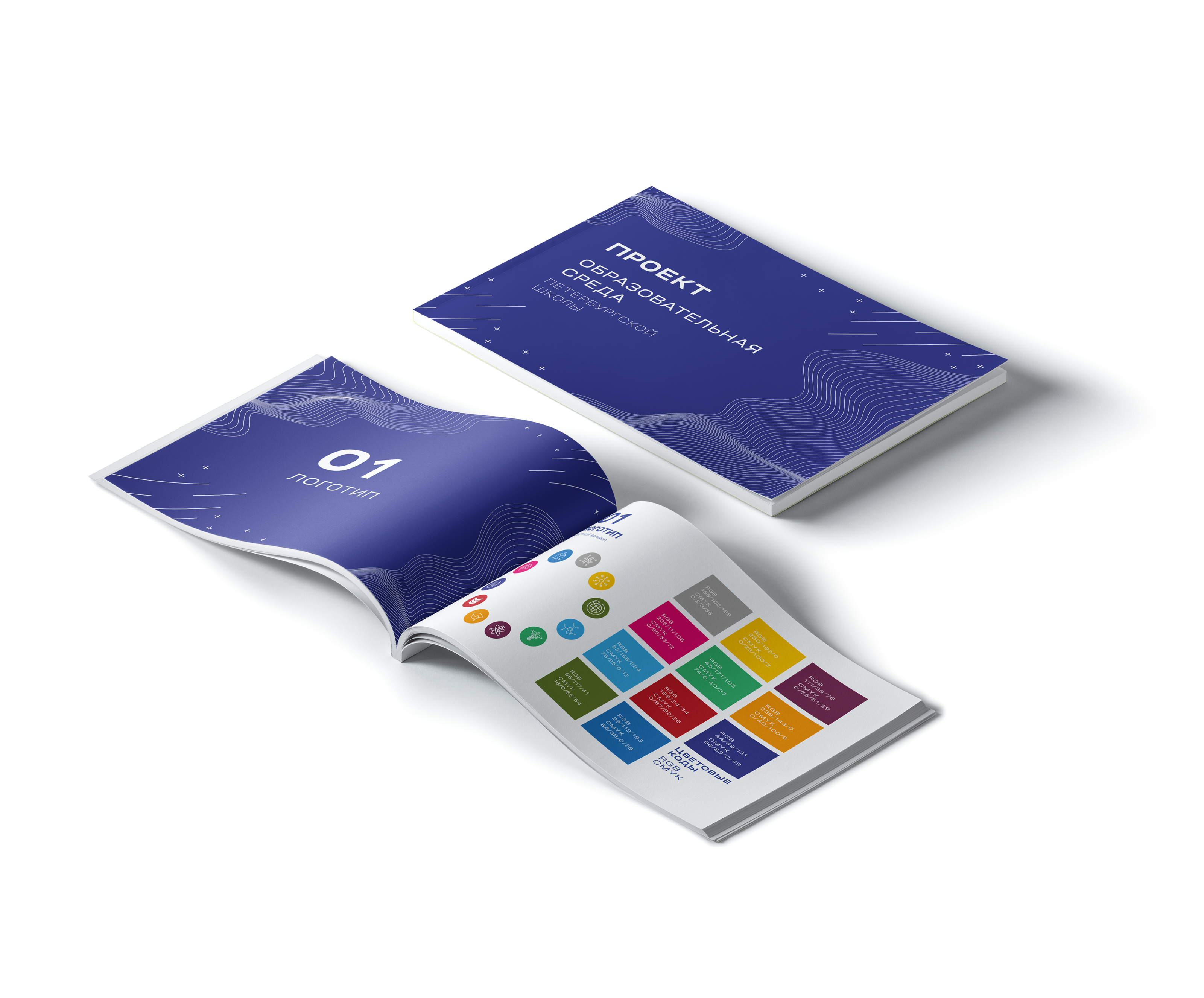 education project brand book — Изображение №2 — Брендинг, Графика на Dprofile