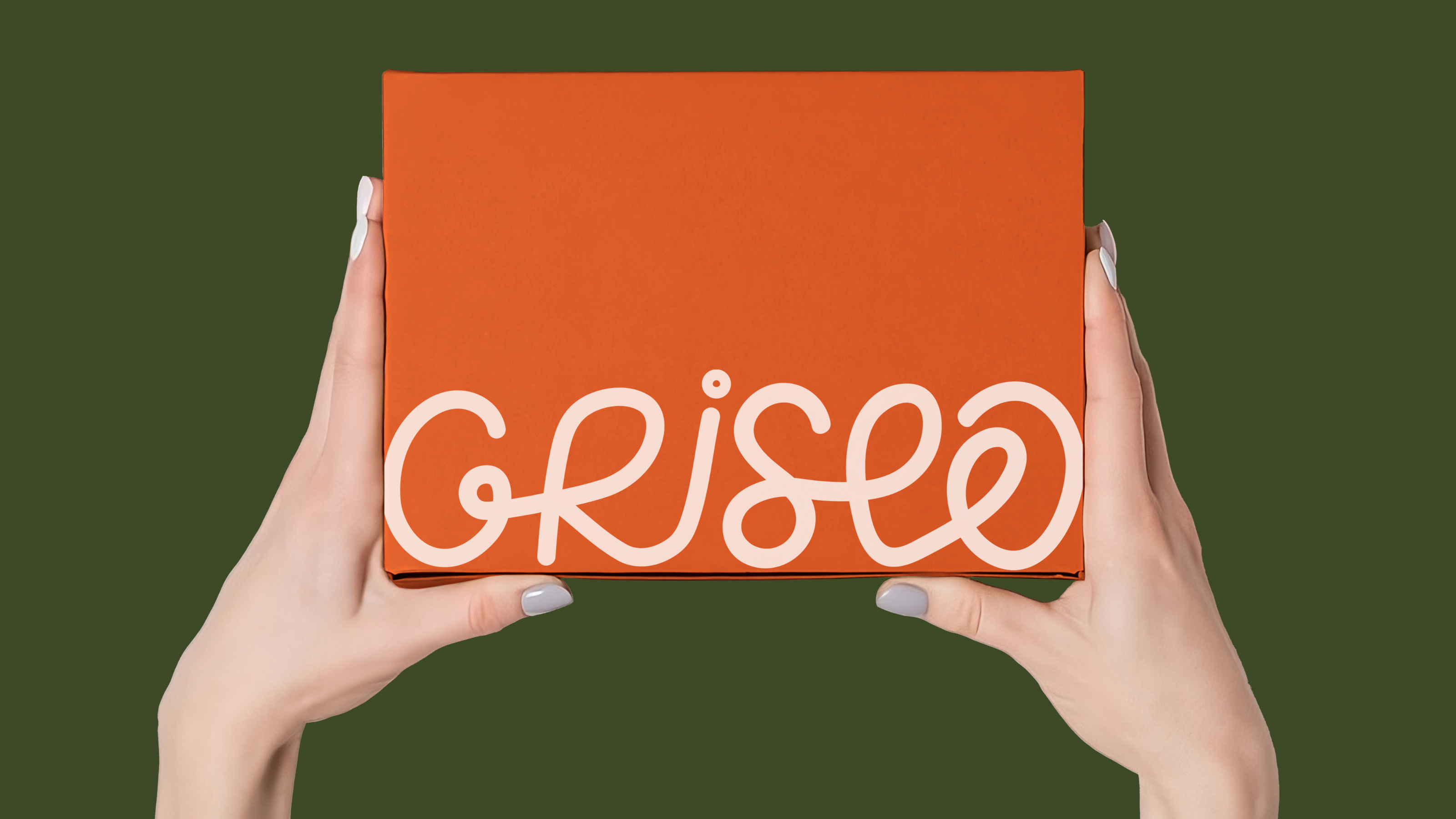 Фирменный стиль для сервиса доставки еды "Griseo" — Изображение №7 — Брендинг, Иллюстрация на Dprofile