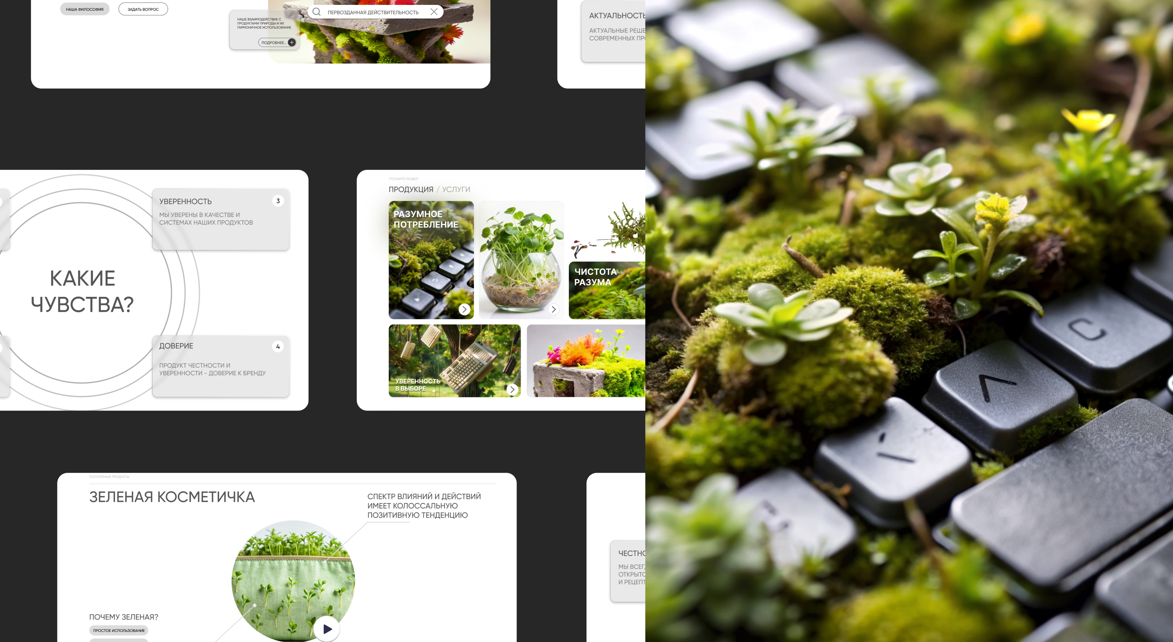 LANDING PAGE DESIGN/ЛЕНДИНГ ПЕЙДЖ — Изображение №3 — Интерфейсы на Dprofile