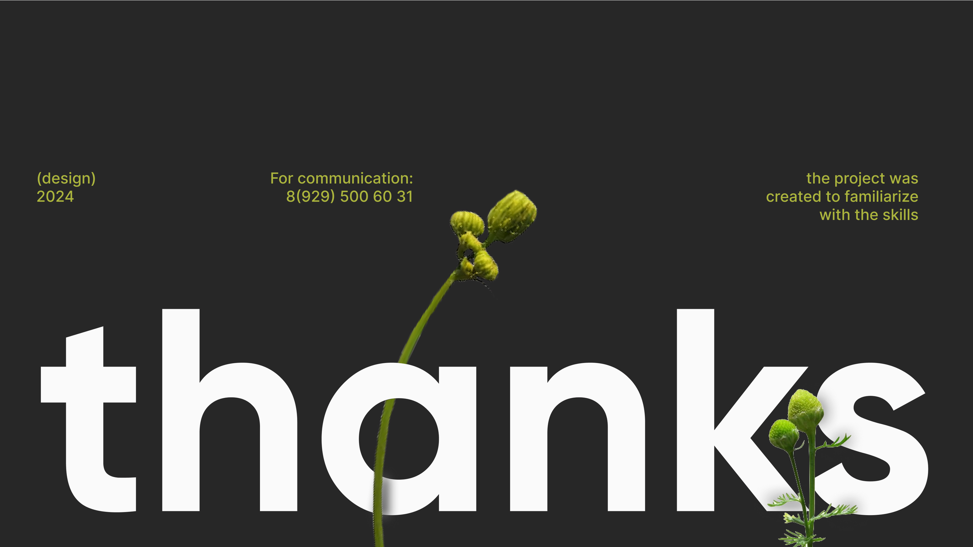 LANDING PAGE DESIGN/ЛЕНДИНГ ПЕЙДЖ — Изображение №8 — Интерфейсы на Dprofile