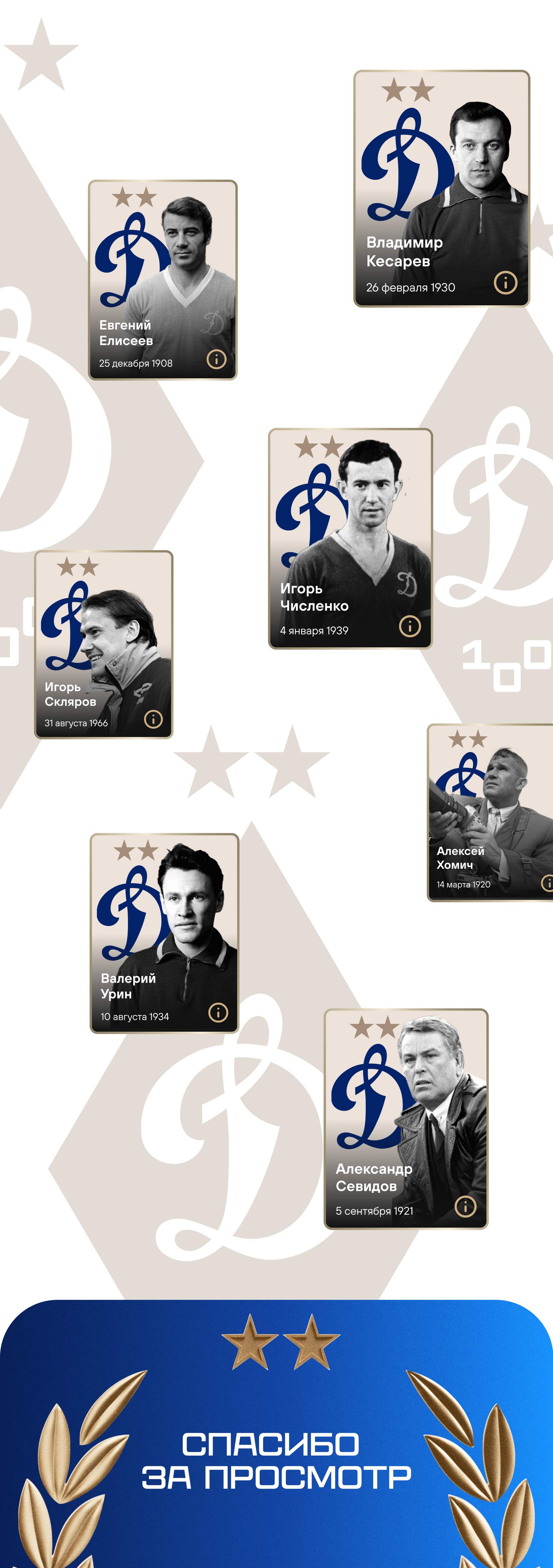 Special Project for the FC Dynamo Moscow — Изображение №4 — Интерфейсы на Dprofile