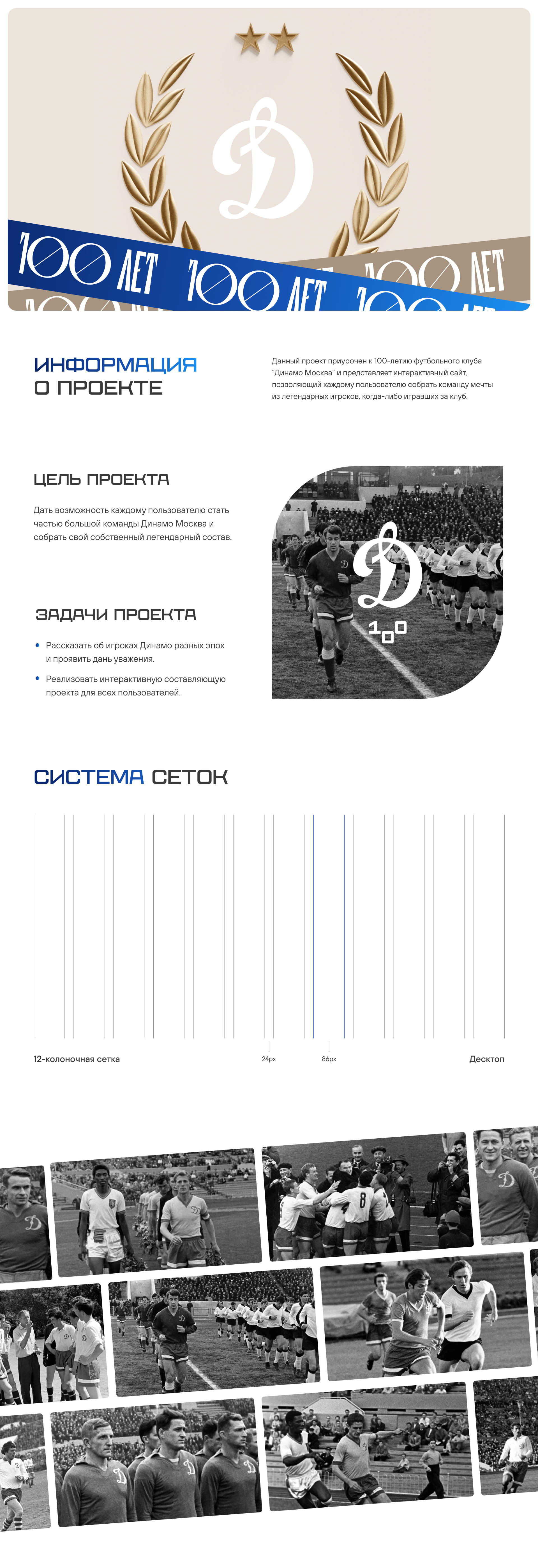 Special Project for the FC Dynamo Moscow — Изображение №1 — Интерфейсы на Dprofile