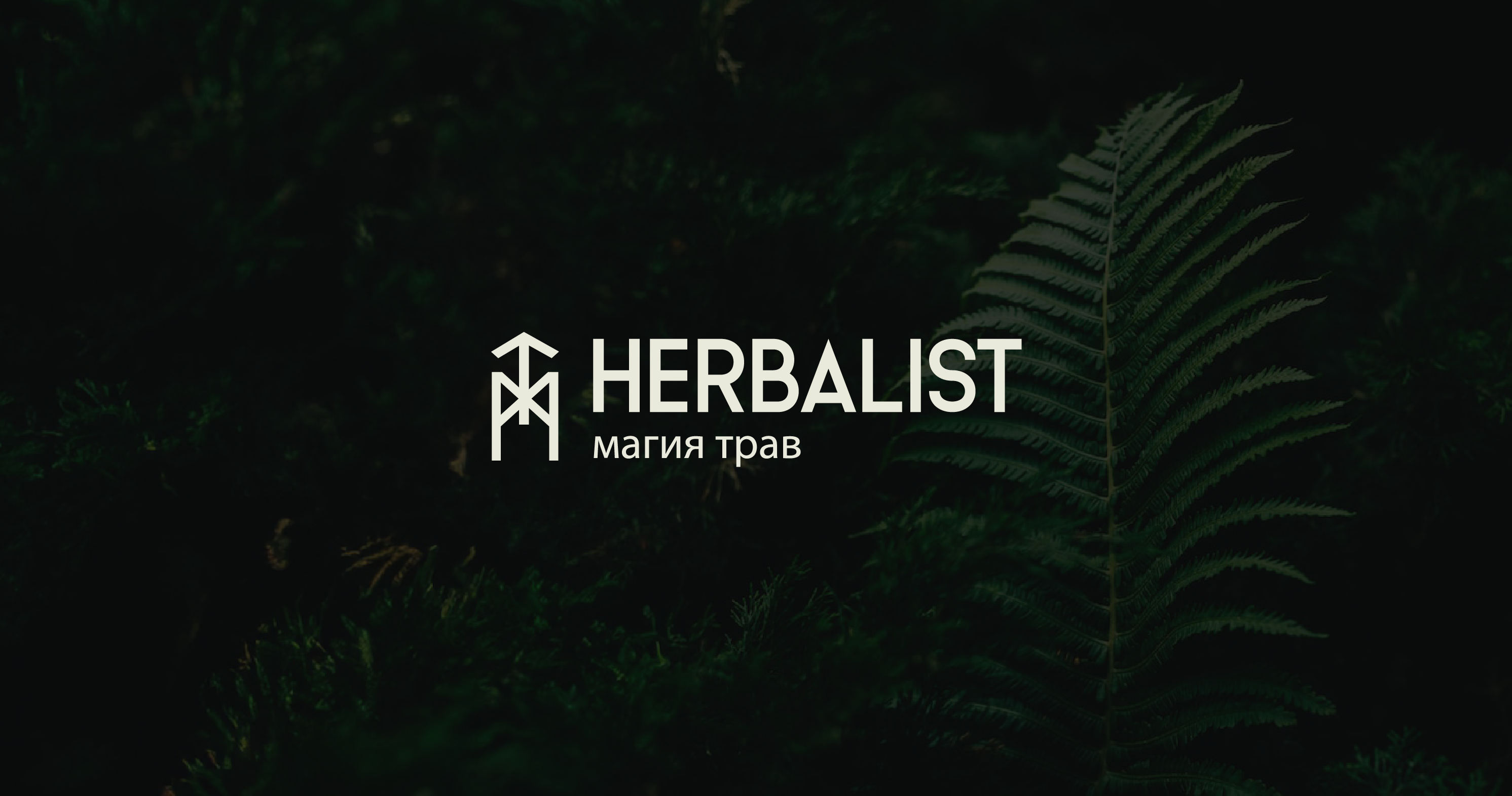 Brand Identity For Tea Store Herbalist / Чайный Магазин — Изображение №1 — Брендинг, Графика на Dprofile