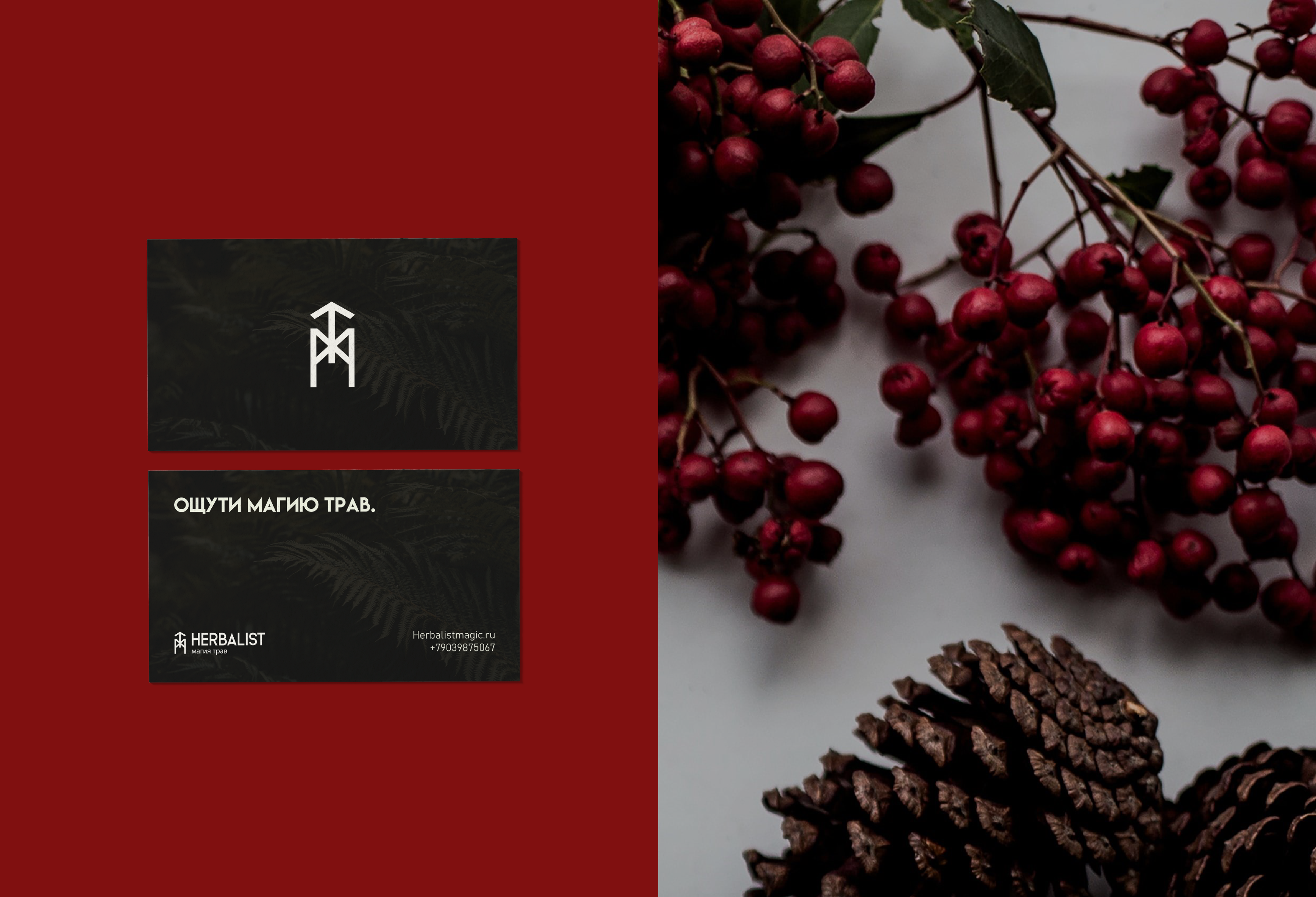 Brand Identity For Tea Store Herbalist / Чайный Магазин — Изображение №9 — Брендинг, Графика на Dprofile